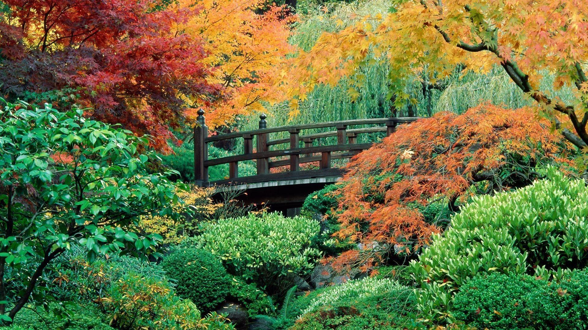 1920x1080 Flowers garden japanese oregon portland washington wallpaper