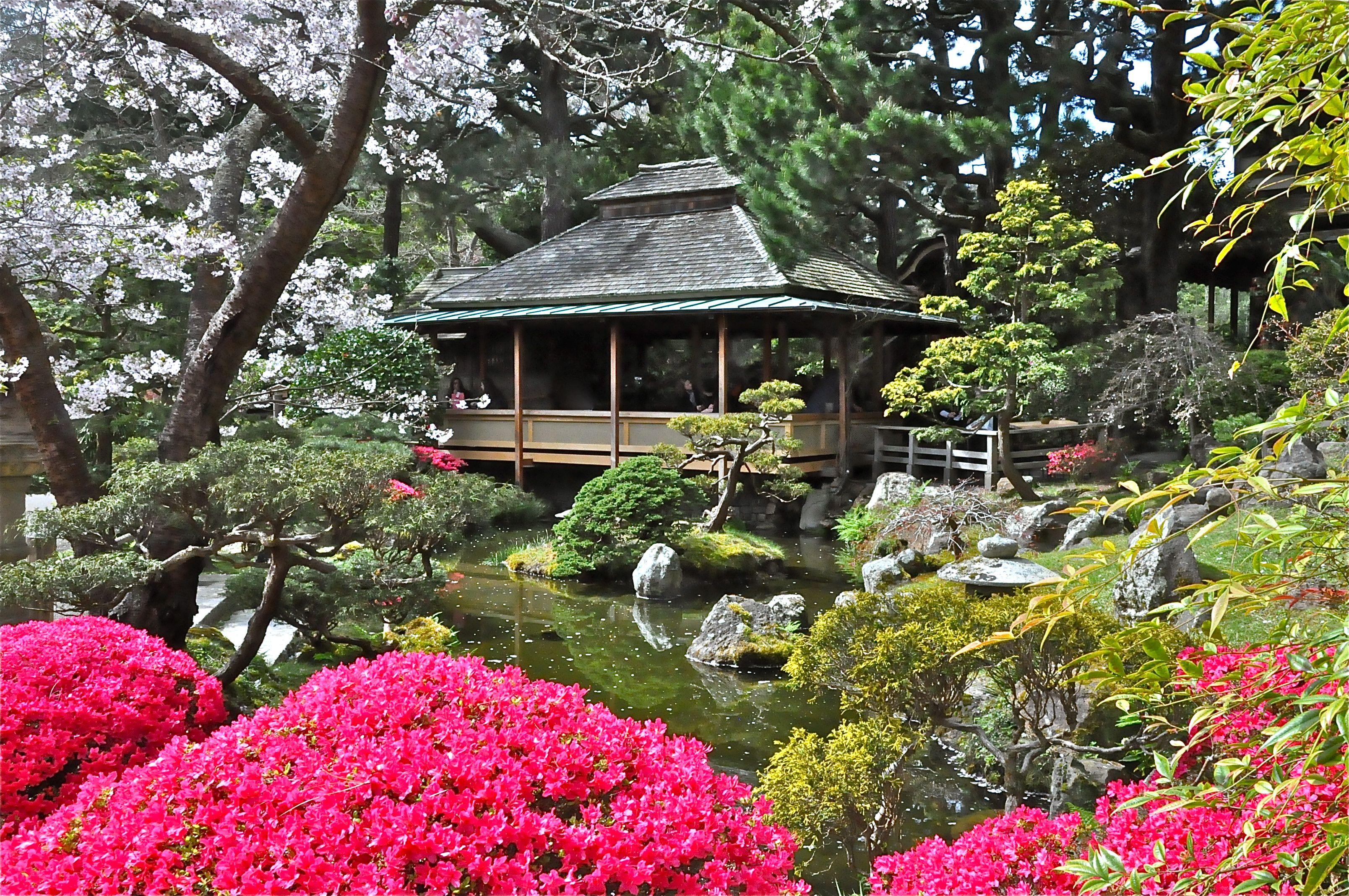 3216x2136 3216x2136px Japanese Tea Garden (4806.92 KB).02.2015