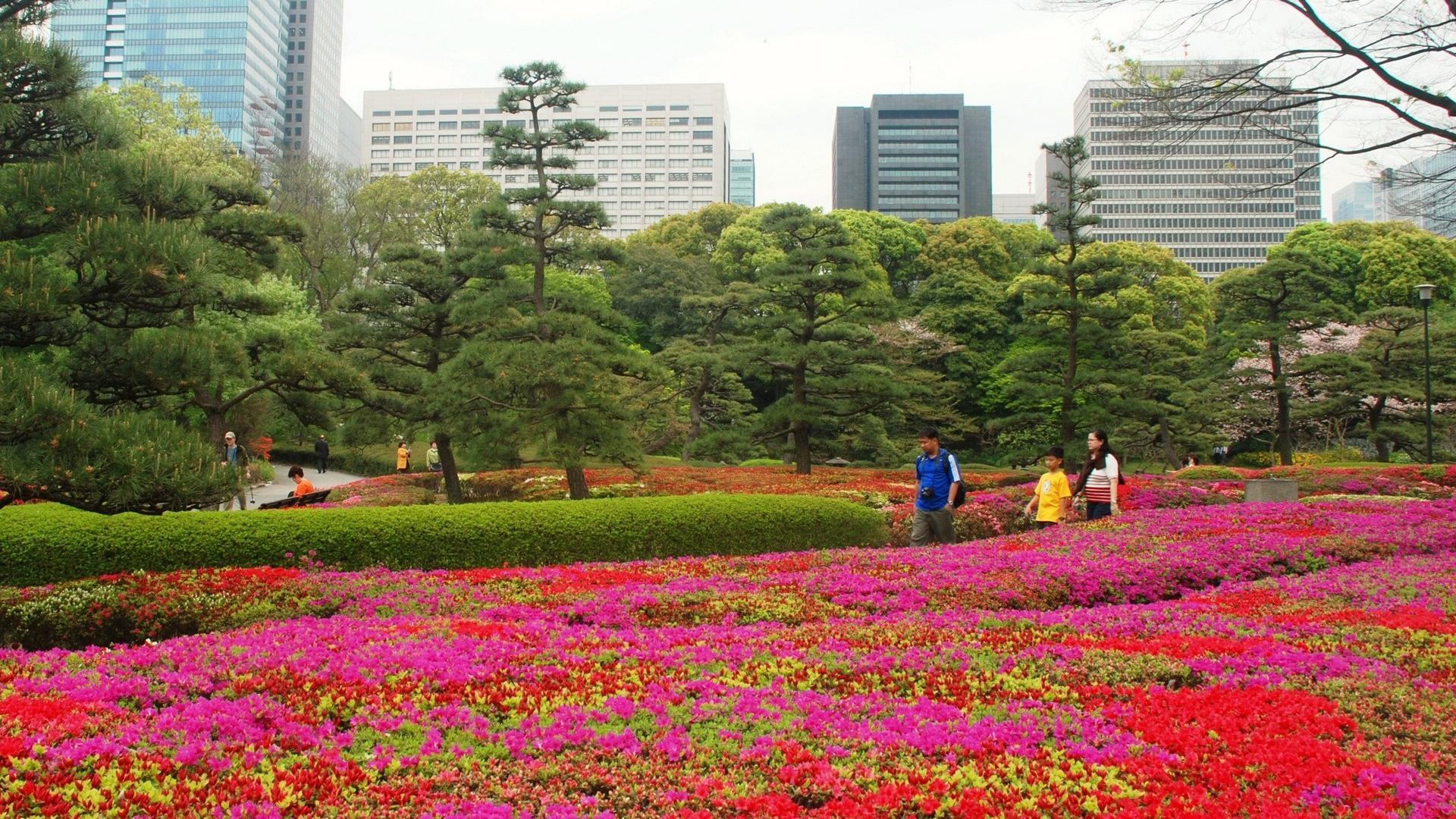1920x1080 Japan flowers people buildings spring (season) japanese gardens