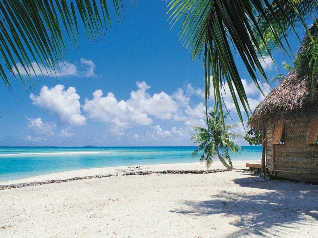 1024x768 Beaches: Beach Cat Hut Beautiful Vacation Getaway Orange Maldives