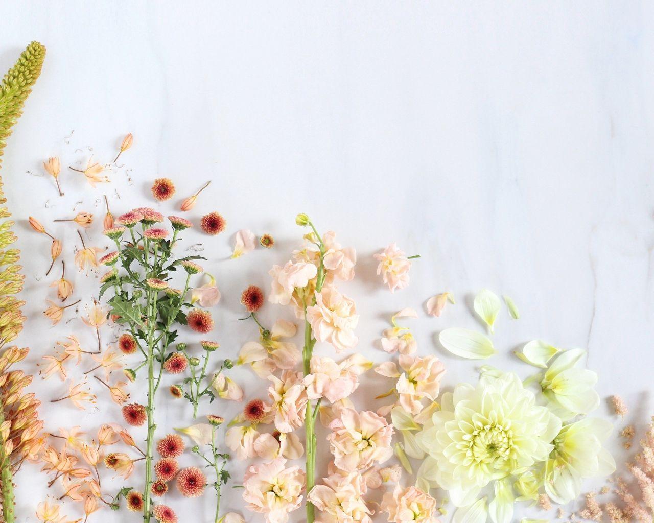 1280x1024 Flower Aesthetic Computer Wallpaper Top Flower Aesthetic Wallpaper Aesthetic Flower HD Wallpaper