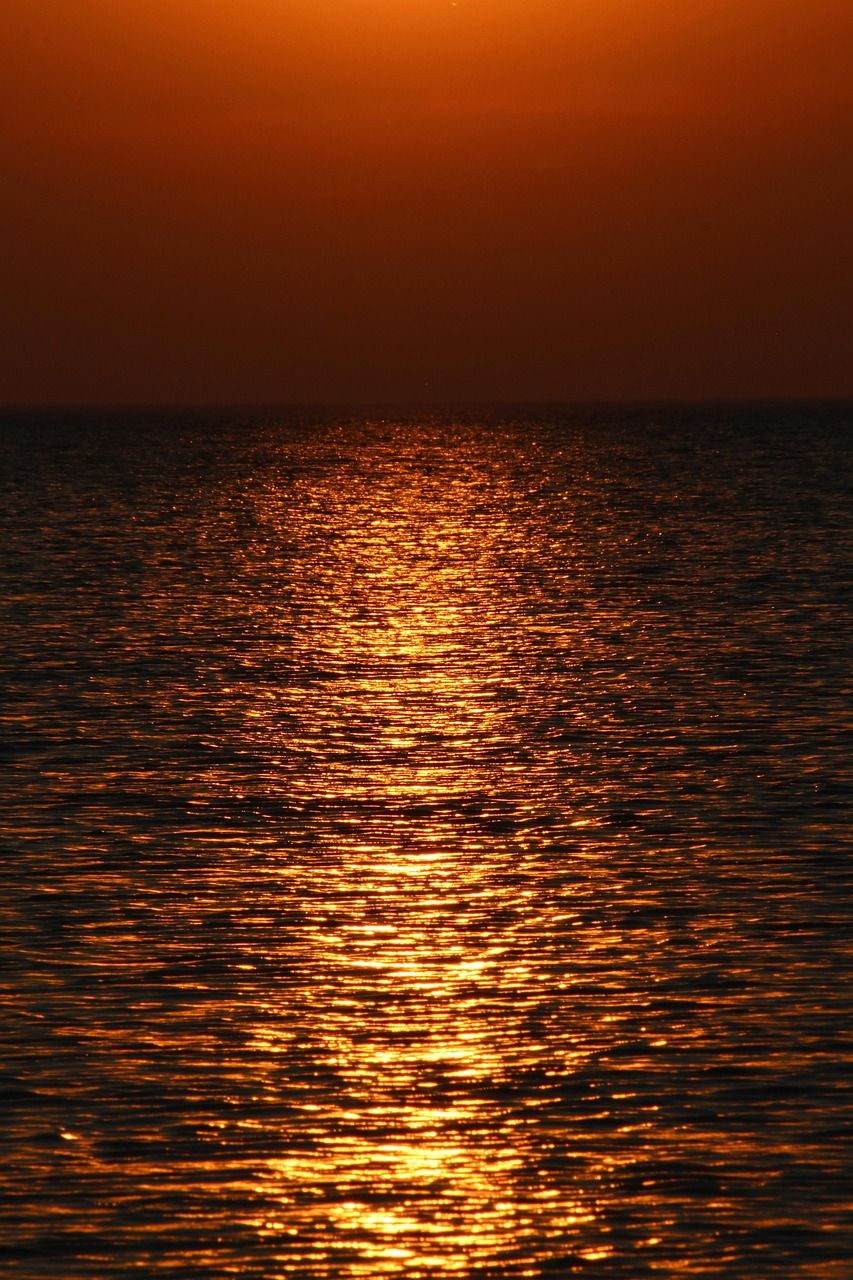 853x1280 Free Beach Sunset Wallpaper iPhone & iPhone Wallpaper Image
