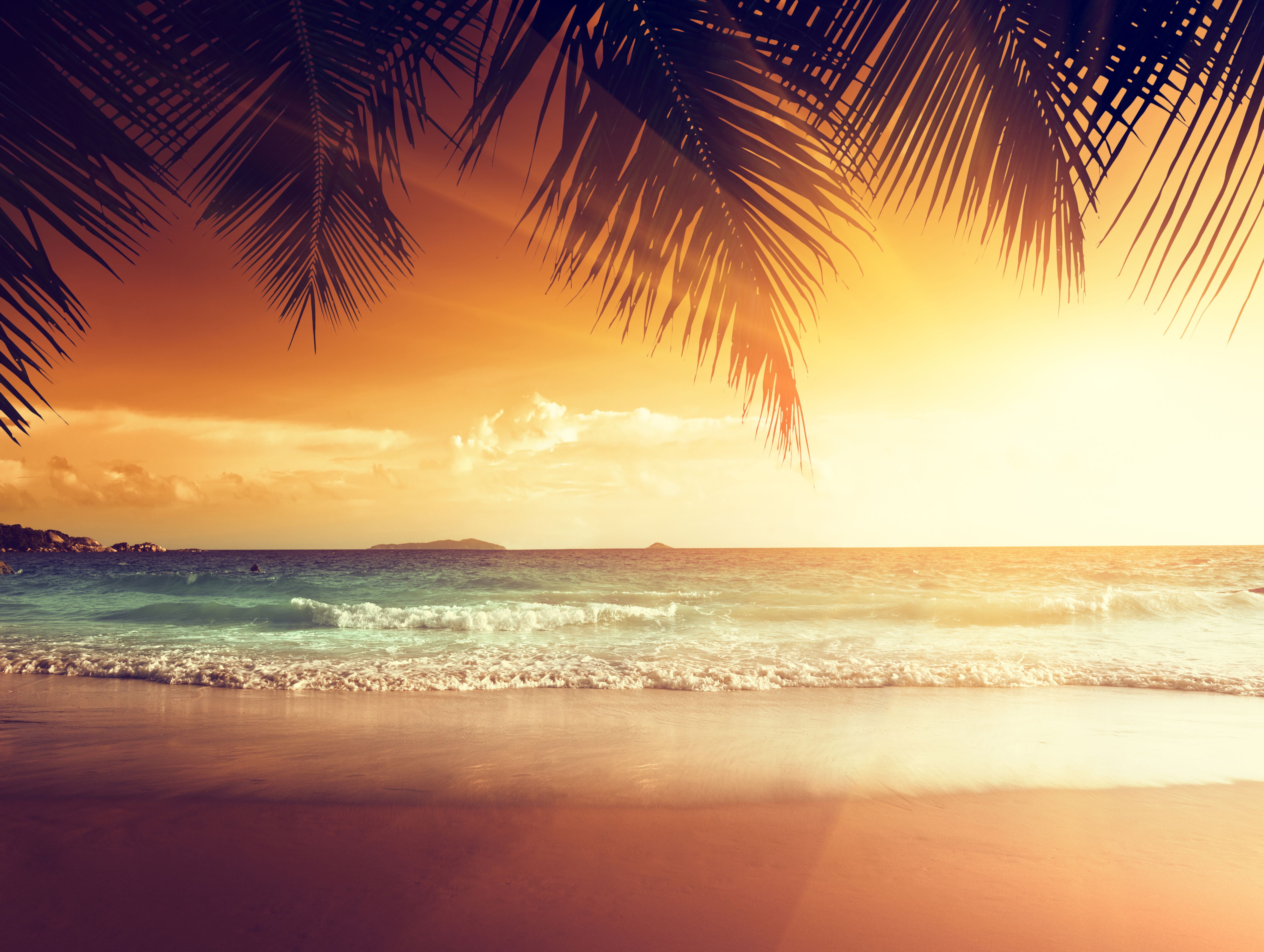 5479x4128 Wallpaper sand, sea, beach, sunset, tropics, palm trees, shore, summer for mobile and desktop, section природа, resolution 5479x4128
