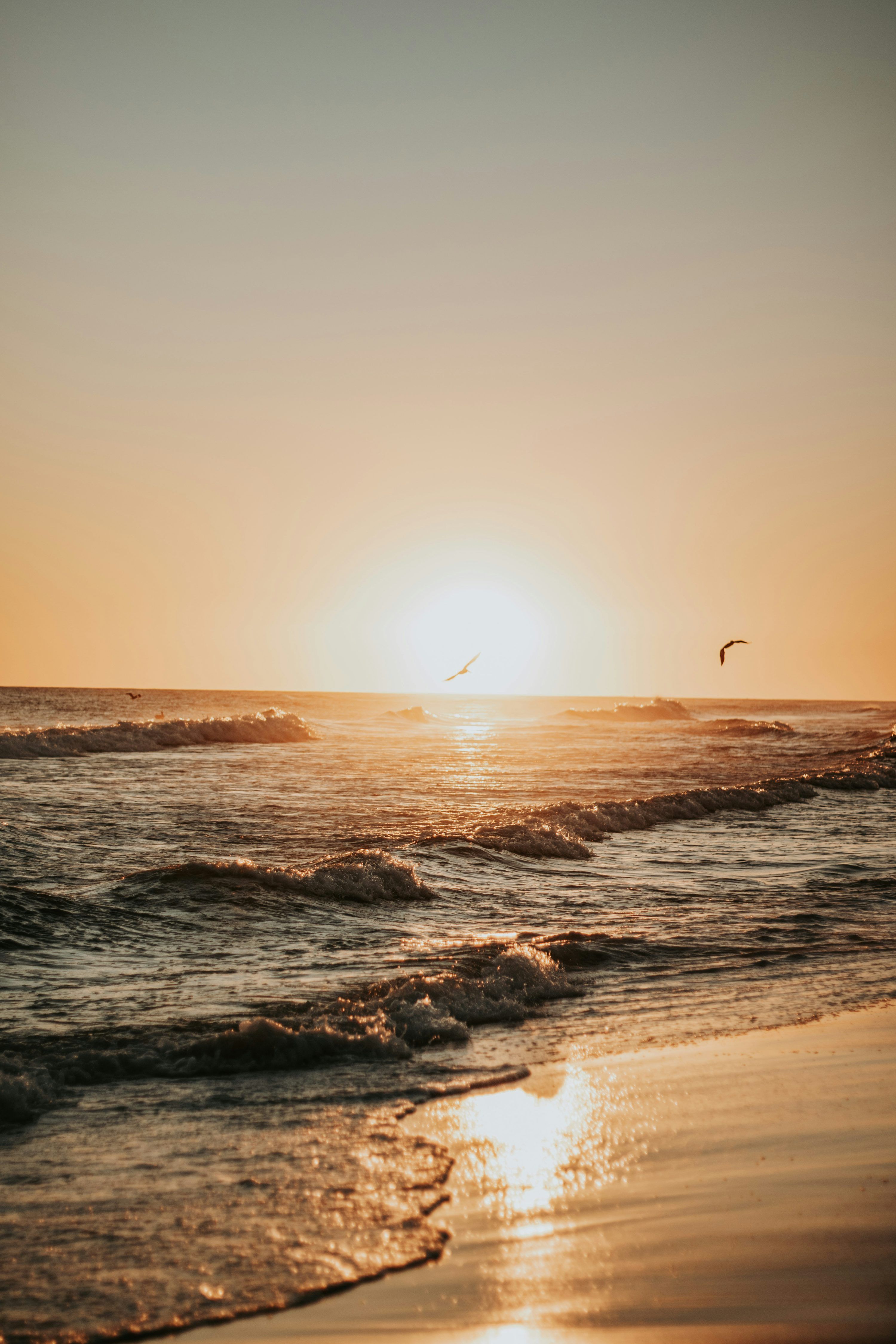 3000x4500 The sun is setting over the ocean on the beach photo