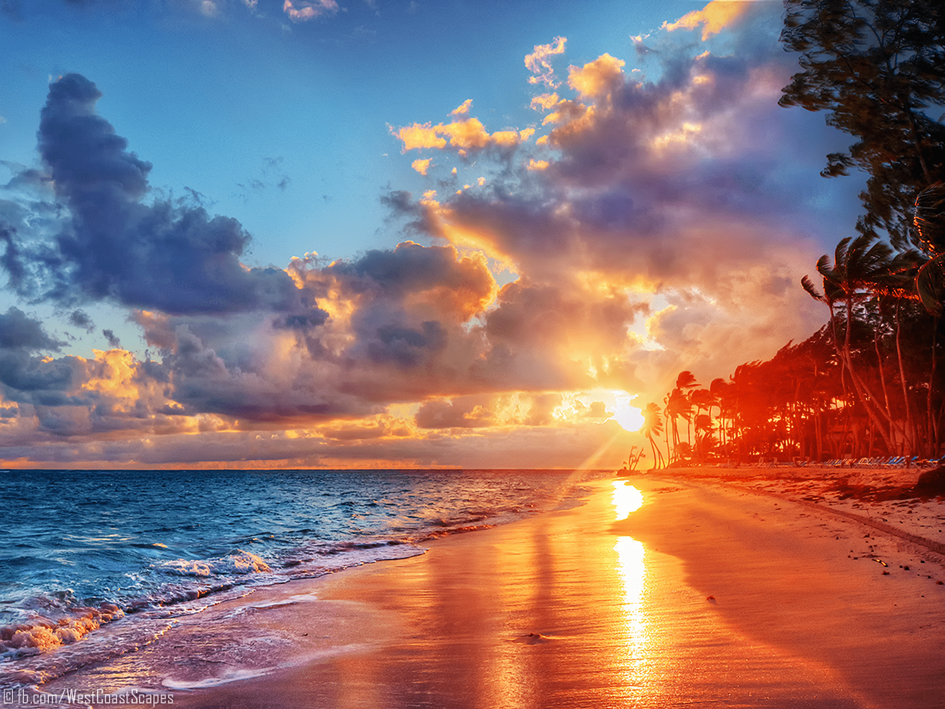 1920x1440 Tropical Sunset: Serenity by the Ocean Wallpaper