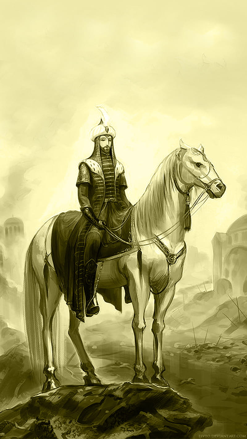 800x1422 Fatih sultan mehmet, arka plan, fetih, osmanli, ottoman, padisah, sultan, HD phone wallpaper