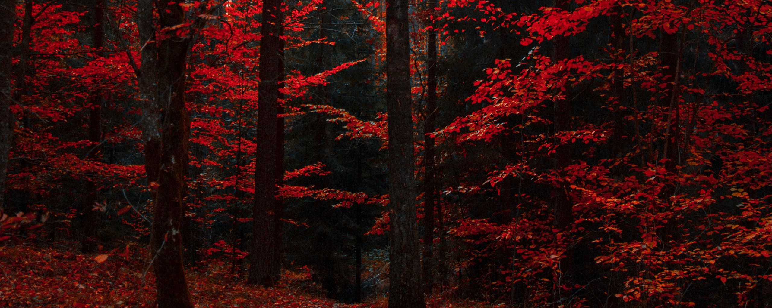 2560x1024 Red Ultrawide Wallpaper