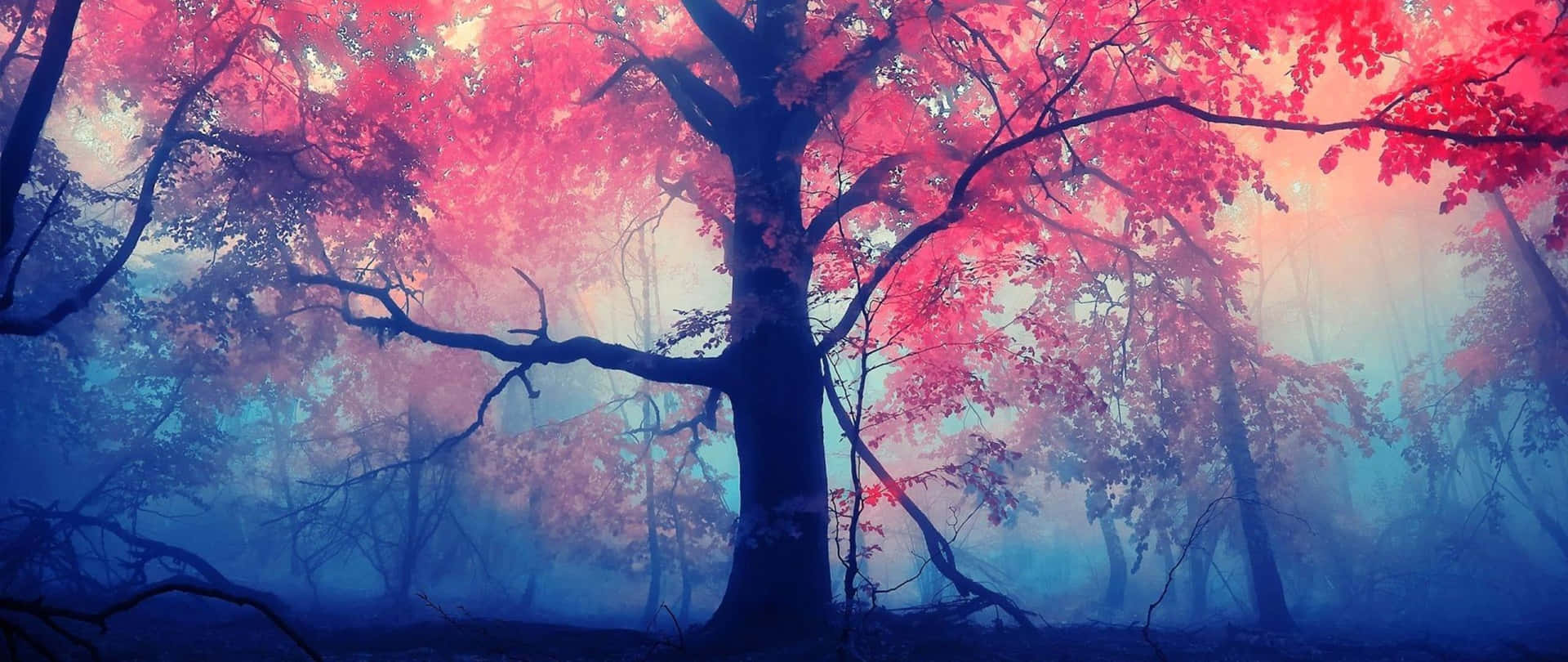 1920x810 Red Ultrawide Wallpaper