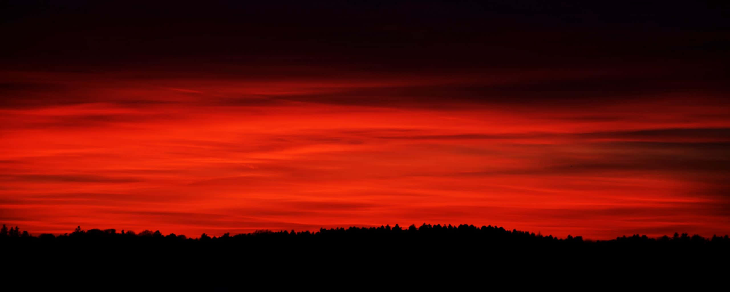 2560x1024 Röd Ultra Wide HD Wallpaper