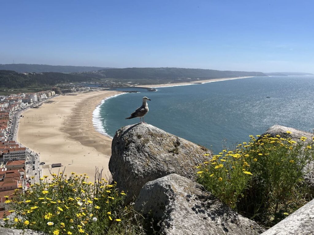1024x768 Best Things to Do in Nazaré, Portugal: How to Plan Your Day. Plan Pack Explore
