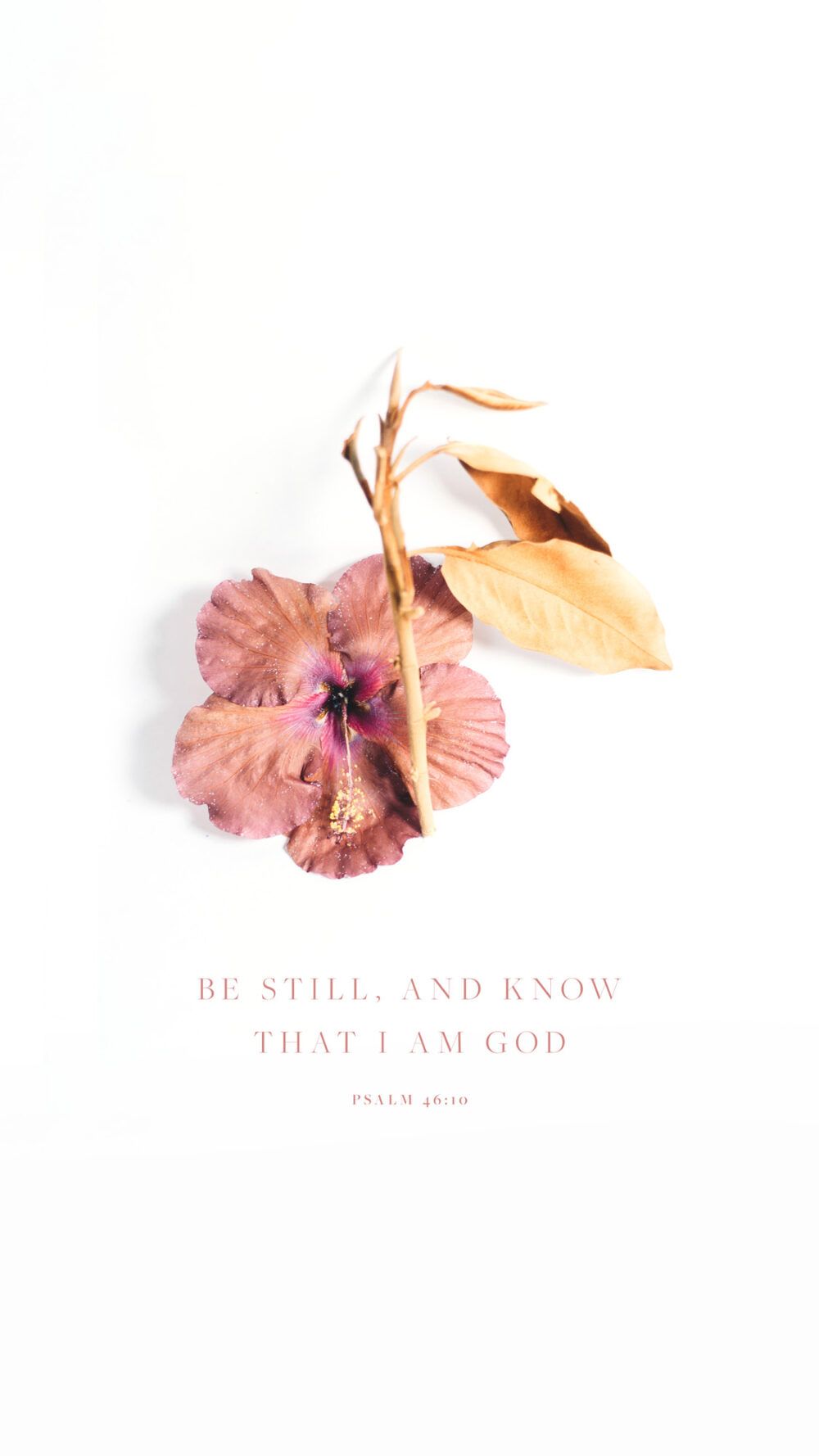 1000x1778 Be still, and know that I am God. 46:10