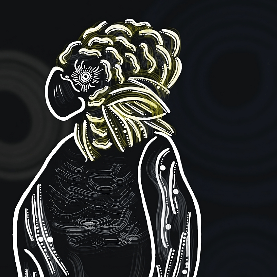 1080x1080 Indigenous Glossy Black Cockatoo Art Wallpaper