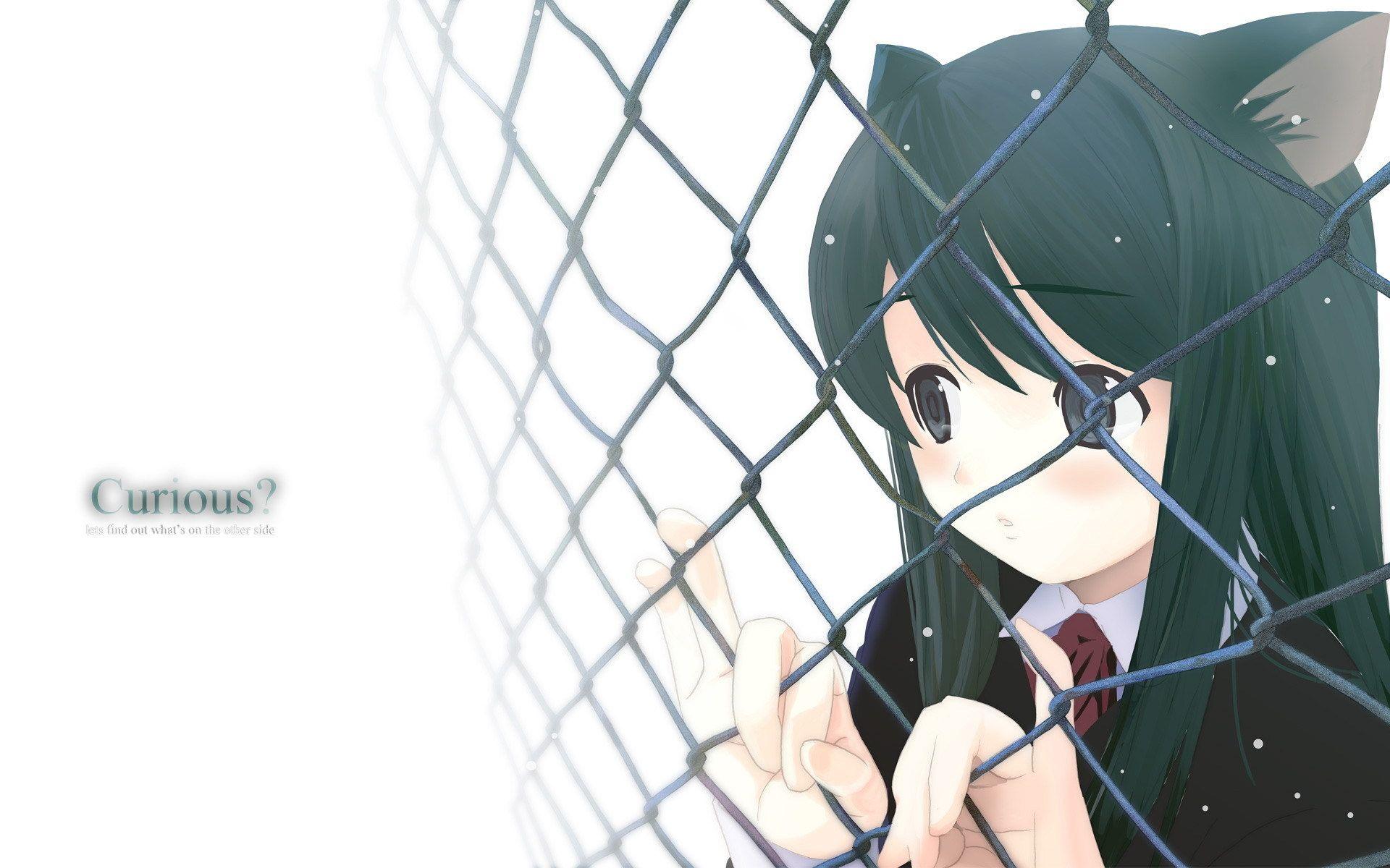1920x1200 Neko Anime Characters Image Curious HD Wallpaper And In A Cage Wallpaper & Background Download