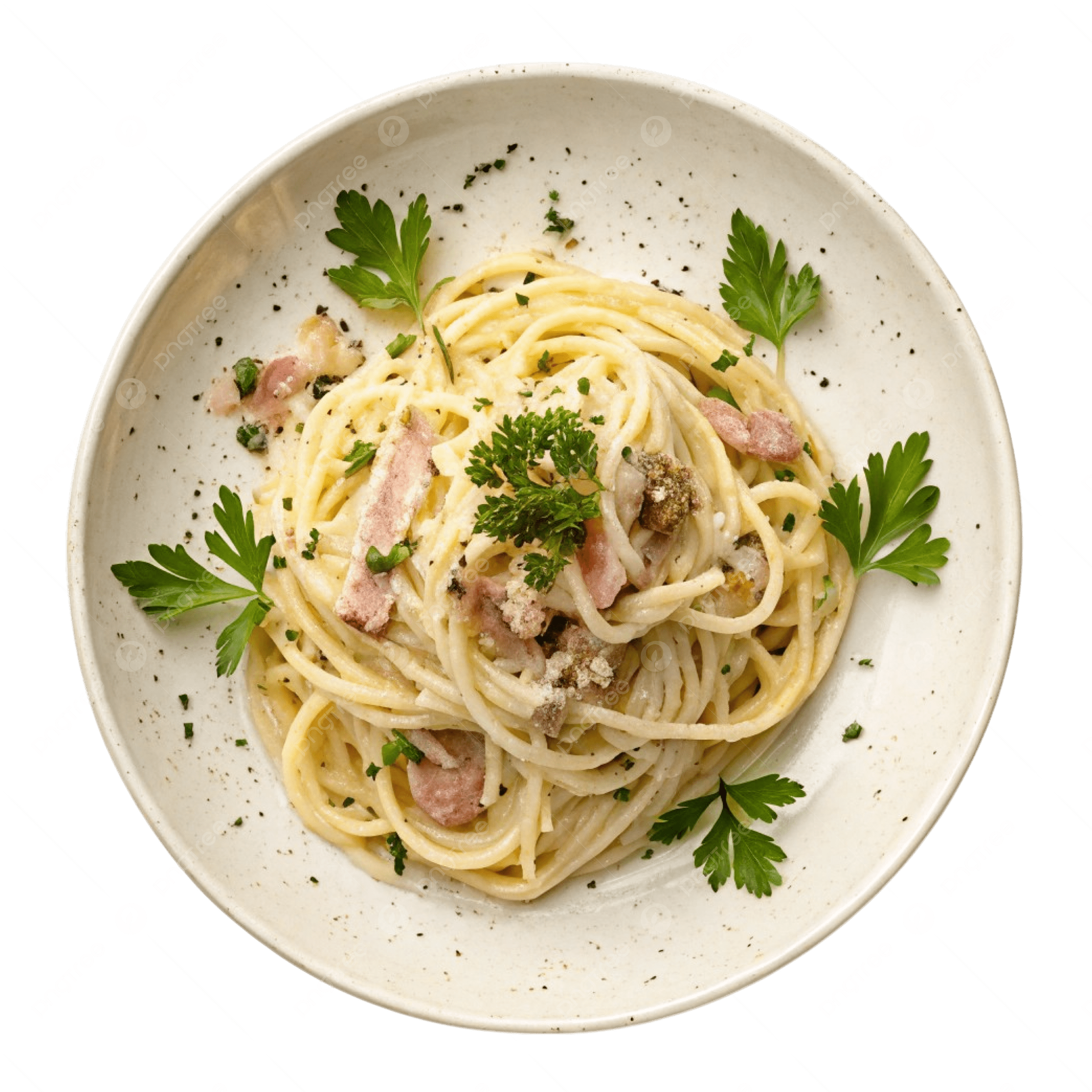 2500x2500 Spaghetti Carbonara Served On A White Plate, Carbonara Pasta, Pasta, Spaghetti PNG Transparent Image and Clipart for Free Download