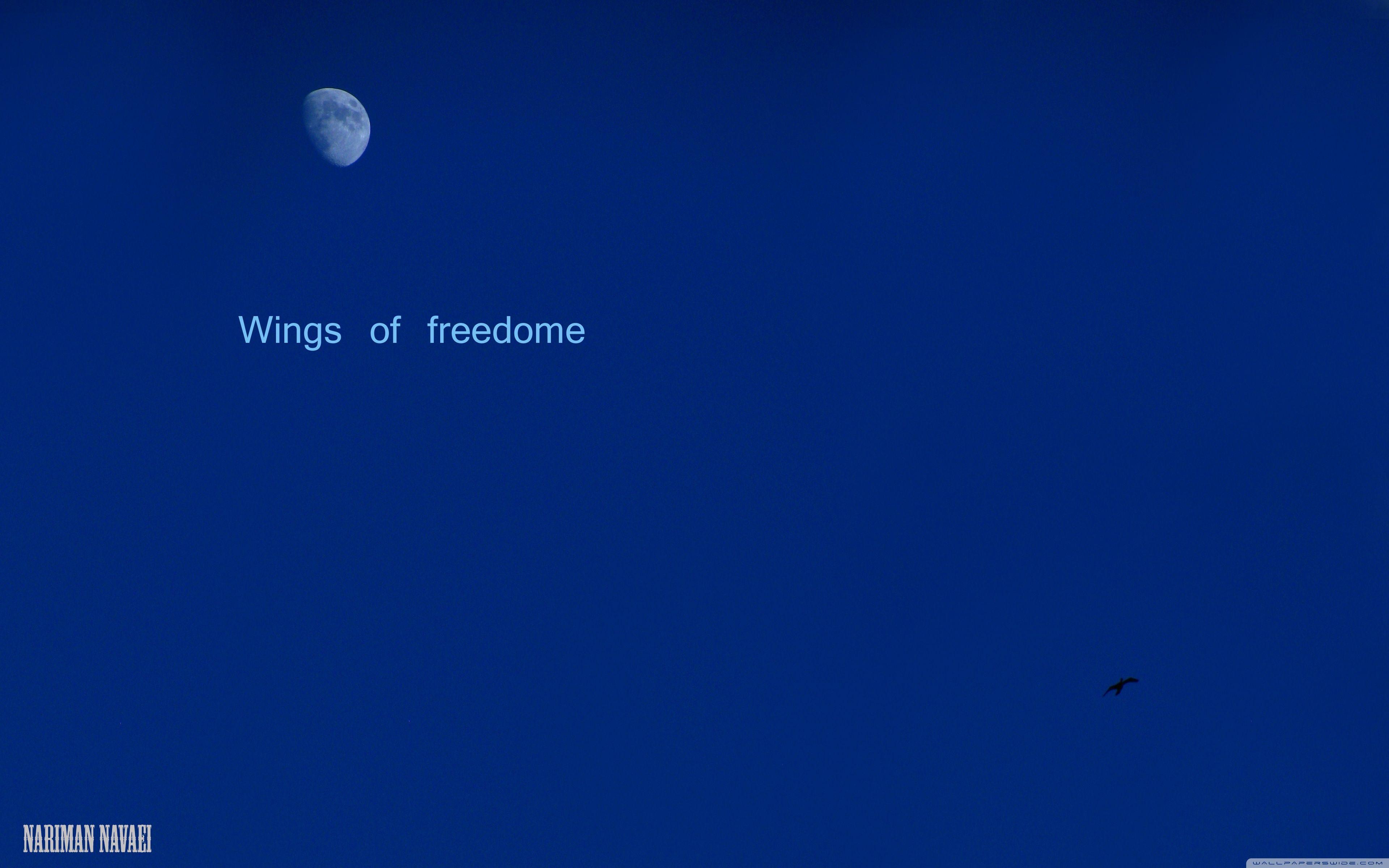 3840x2400 Wings of Freedom Ultra HD Desktop Background Wallpaper for 4K UHD TV : Tablet