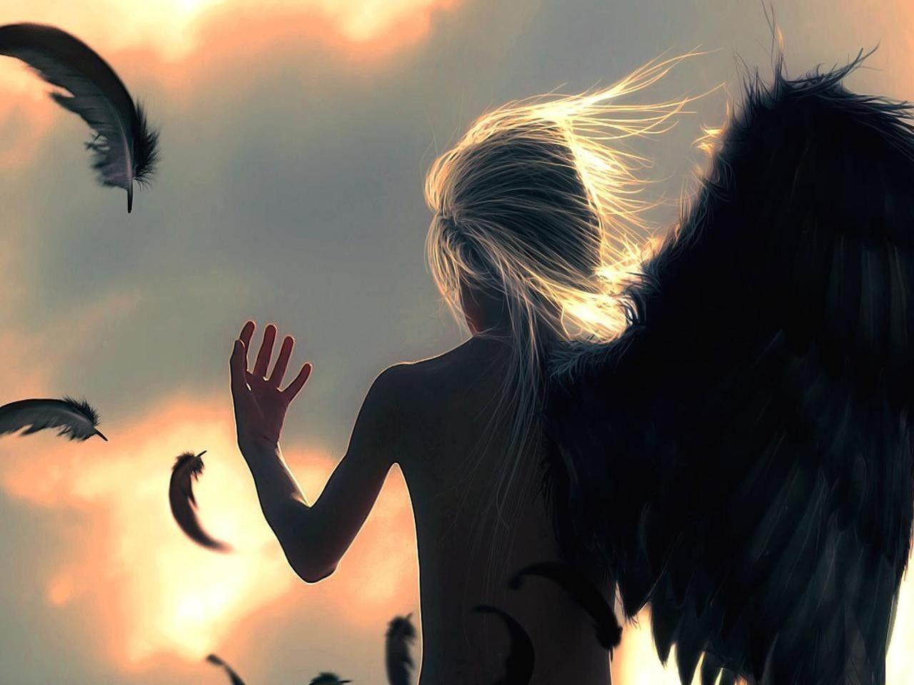 1280x960 Download Wallpaper, Download 2560x1600 angels wings freedom fantasy art 1280x960 wallpaper Animals HD Wallpaper, Hi Res Animals Wallpaper, High Definition Wallpaper