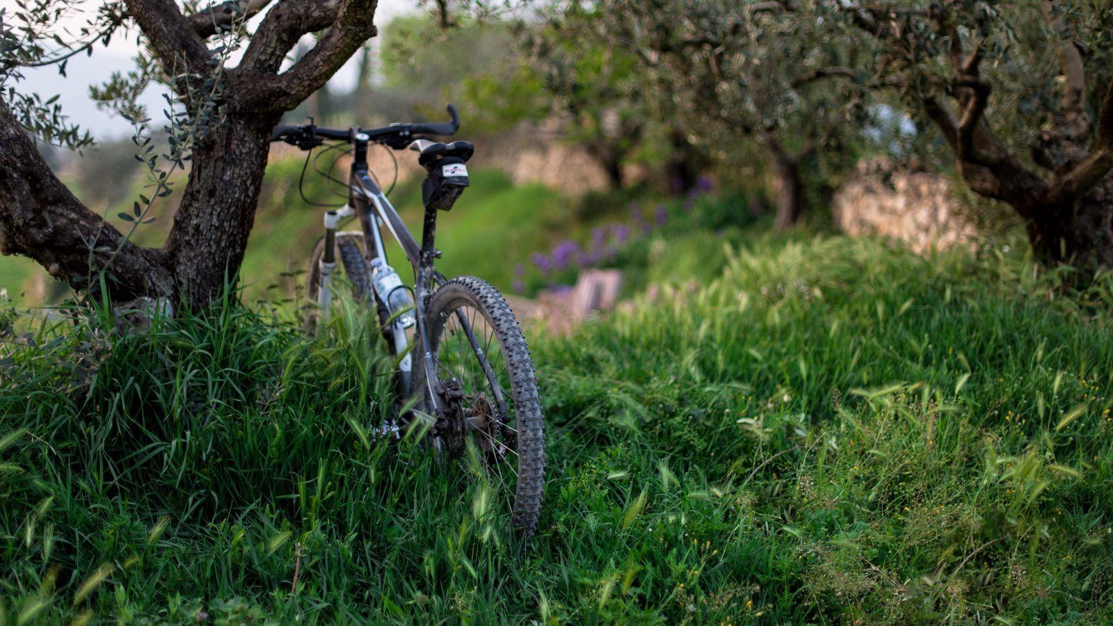 1600x900 Download wallpaper 1600x900 bicycle, grass, trees widescreen 16:9 HD background
