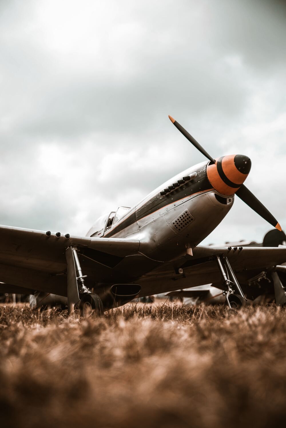 1000x1498 The P 51 Mustang: A Legend In Military Aviation