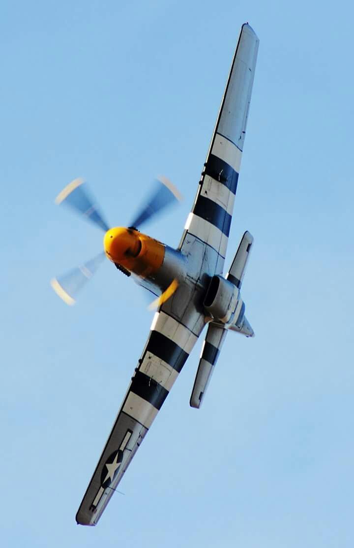 720x1112 Vintage WWII Fighter Plane in Flight. P51 mustang front view, Mustang fighter plane, P51 mustang flying