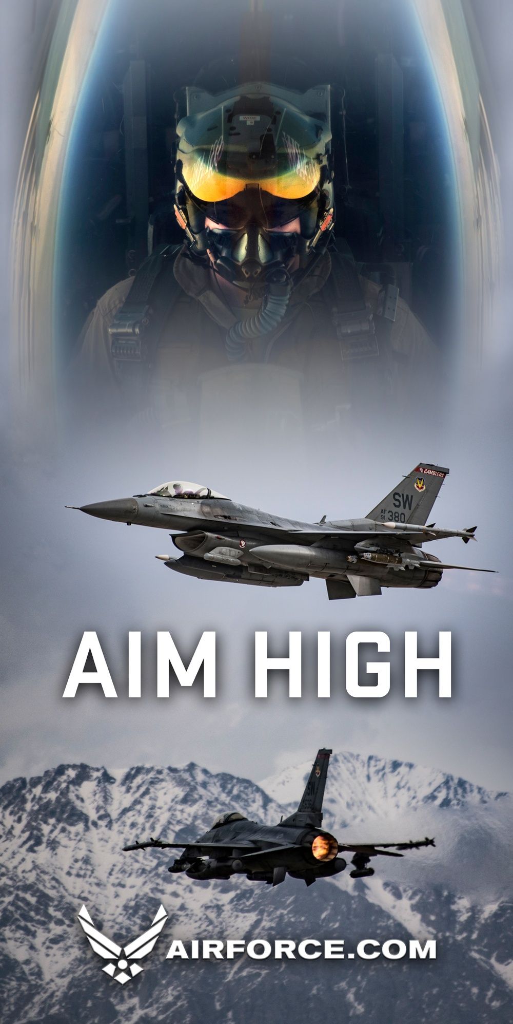 1000x1994 DVIDS High Poster: F 16 [Image 2 Of 2]