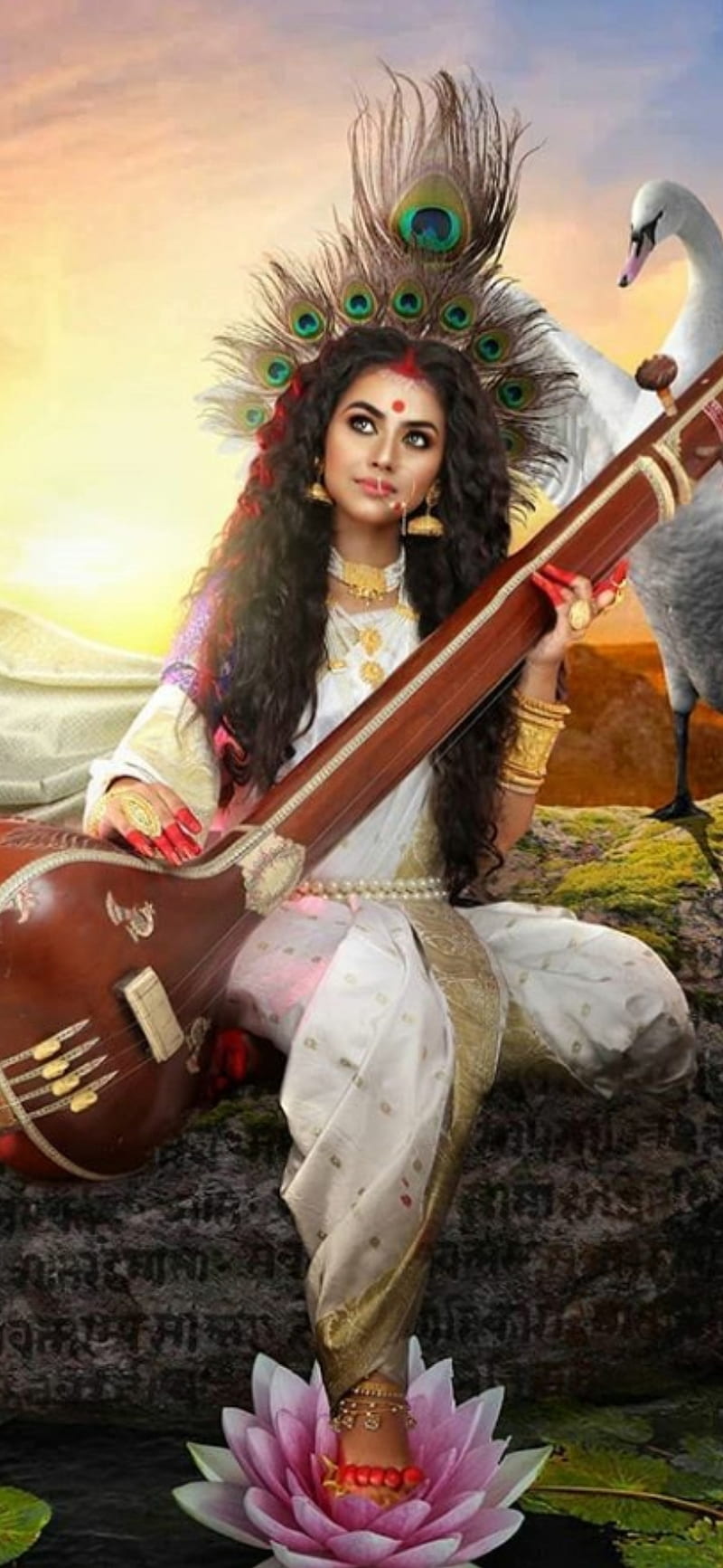 800x1733 Saraswati Mata, god of knowledge hindu, indian, life, saraswati, HD phone wallpaper