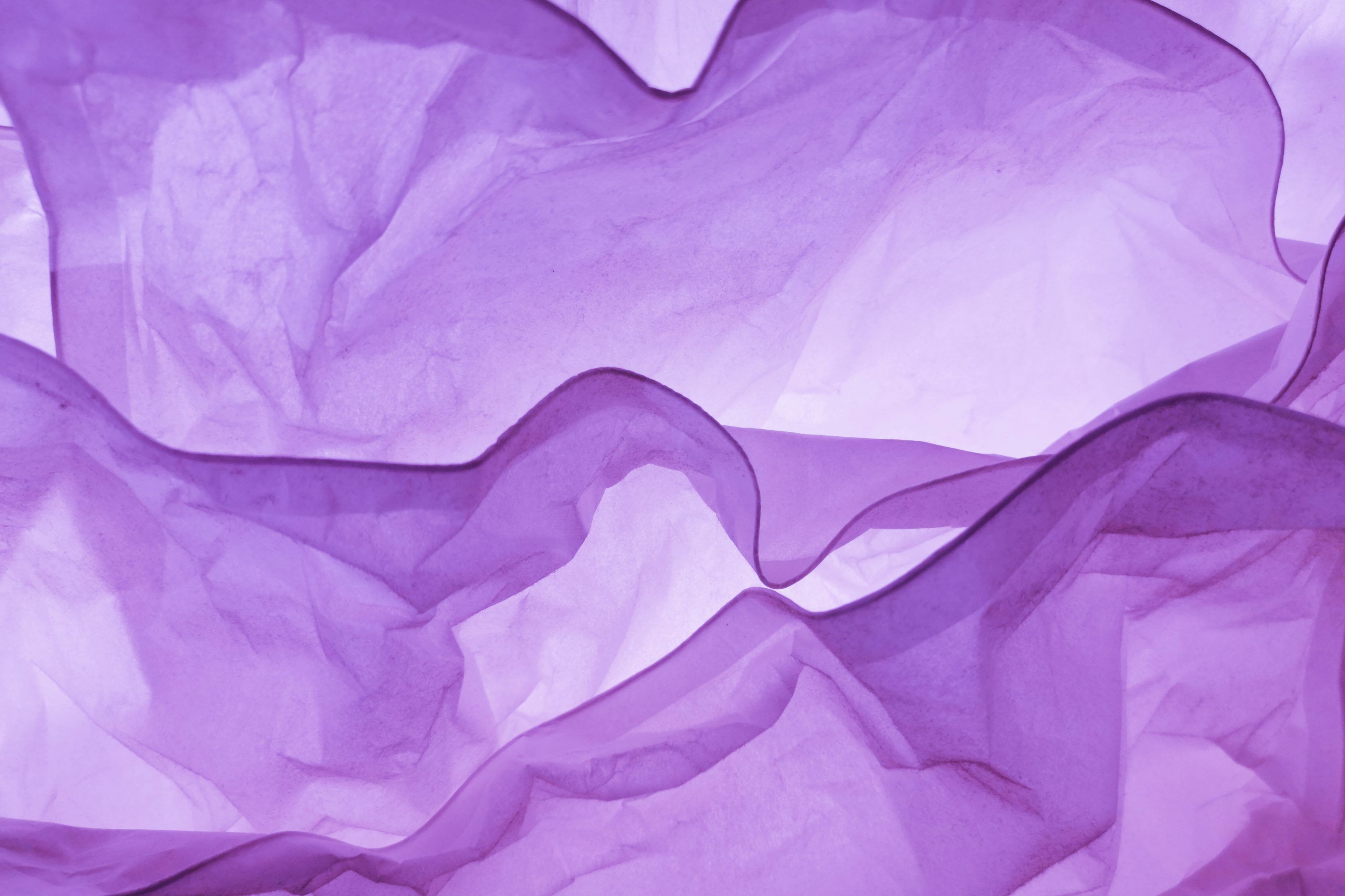 3000x2000 Purple Ribbon Picture. Download Free Image