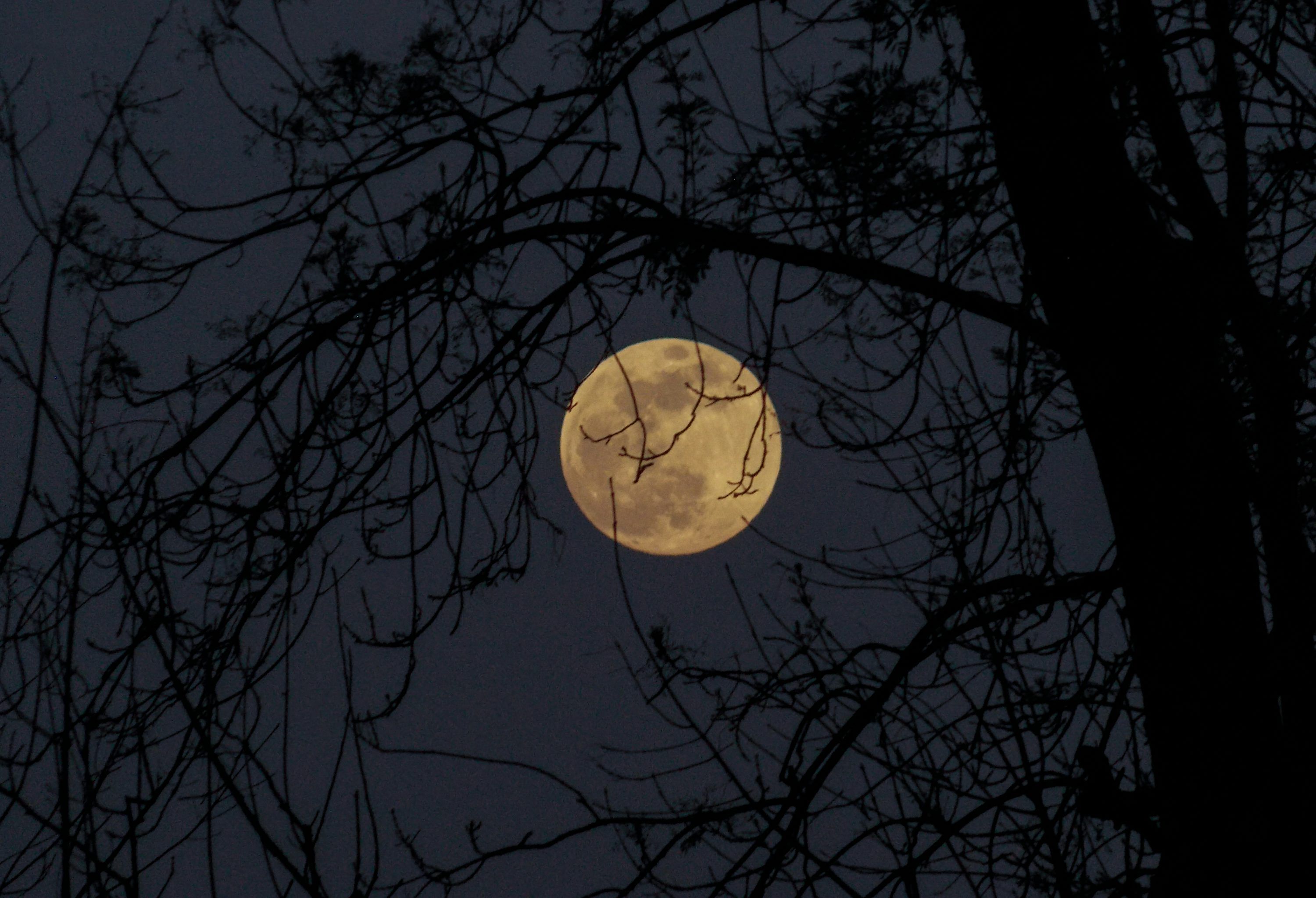 3000x2047 Moon Wallpaper: Free HD Download [HQ]