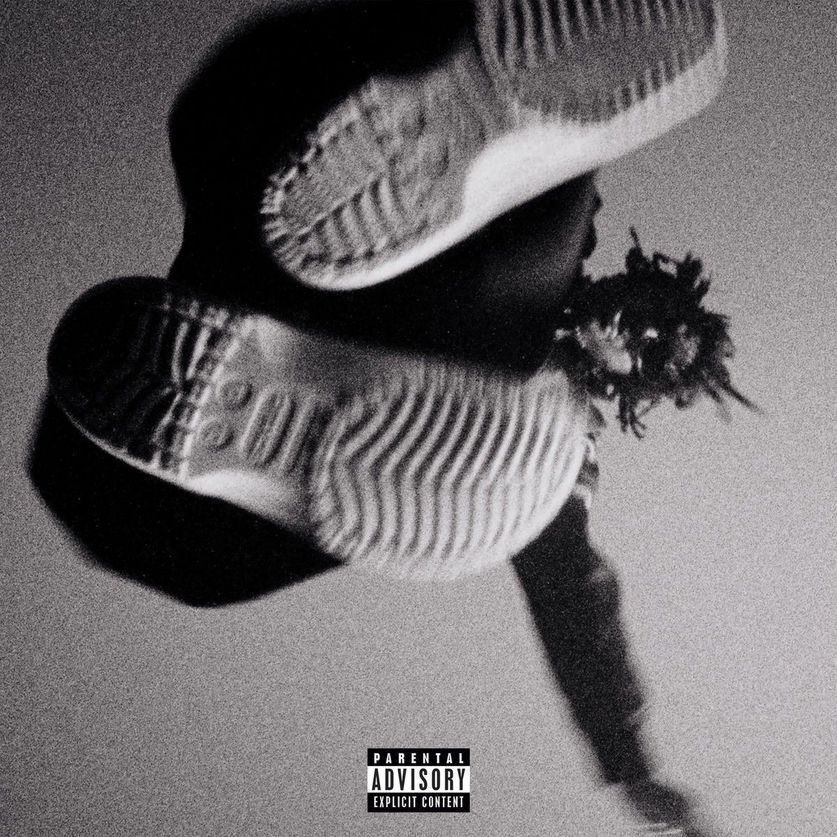 1200x1200 Jordan Ward