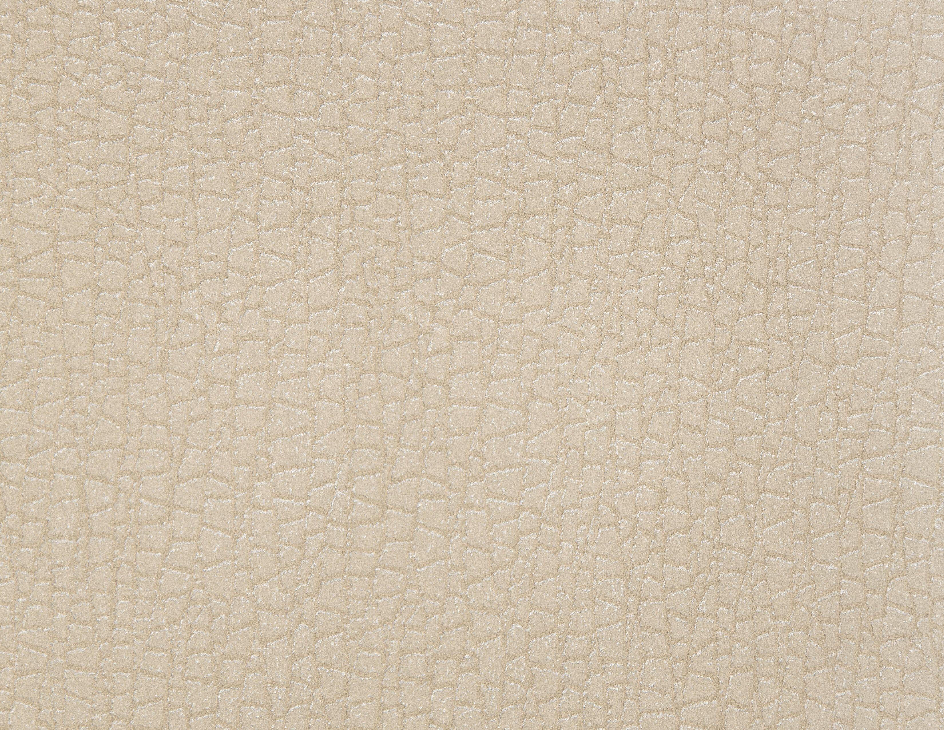 Crocodile Skin Wallpapers - Top Free Crocodile Skin Backgrounds