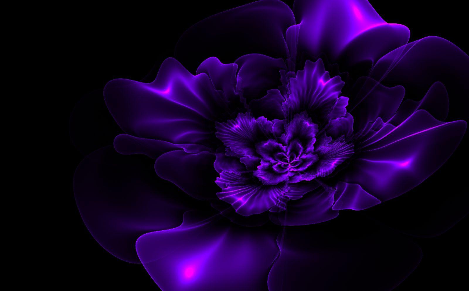 1600x994 Purple Flower Wallpaper Image
