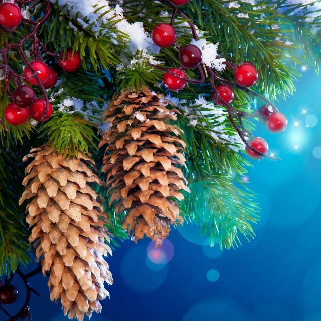 1024x1024 Best merry christmas iPad Wallpaper HD