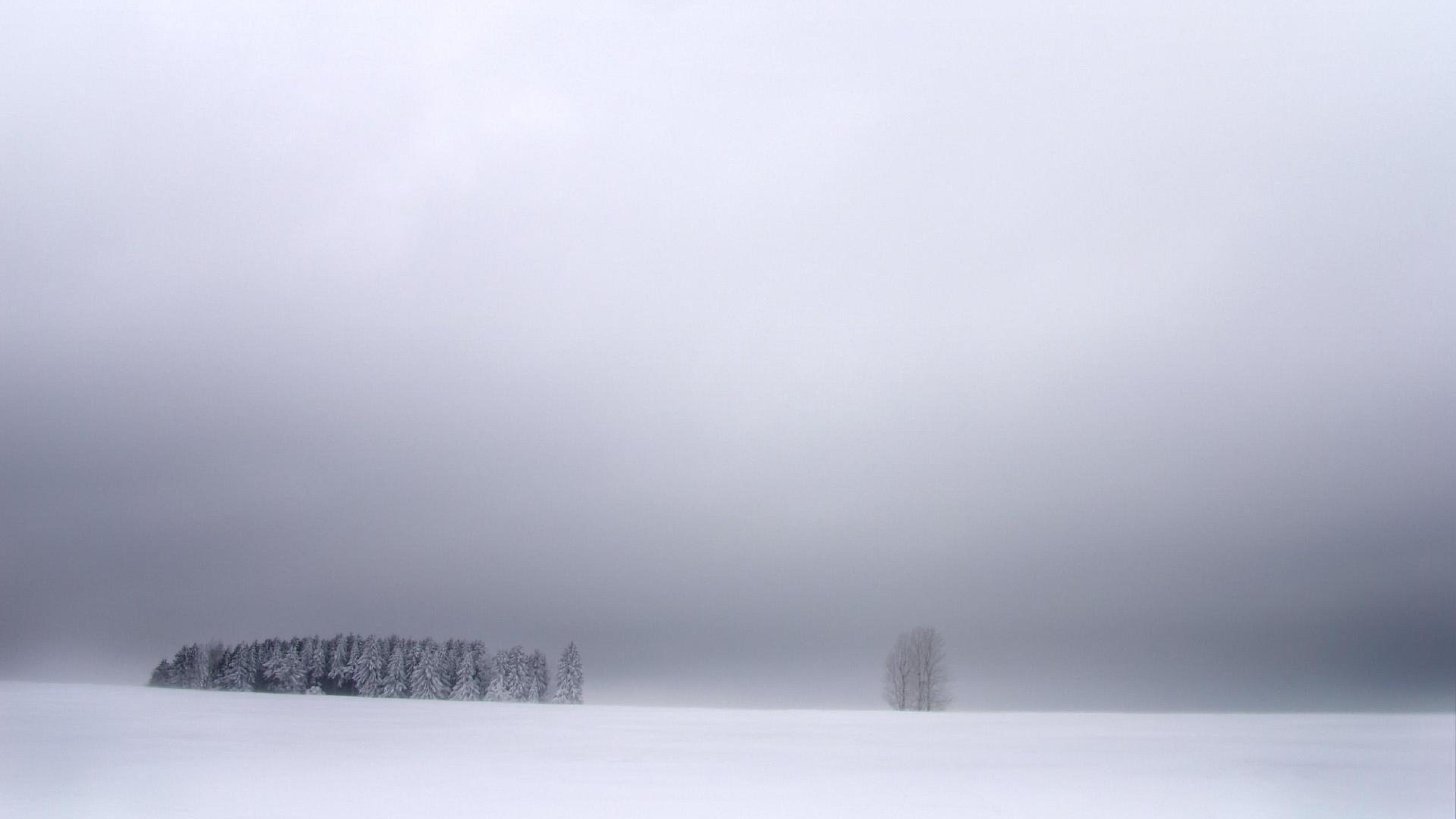 3840x2160 Snow Winter Nature Snow storm Storm HD Wallpaper, Desktop