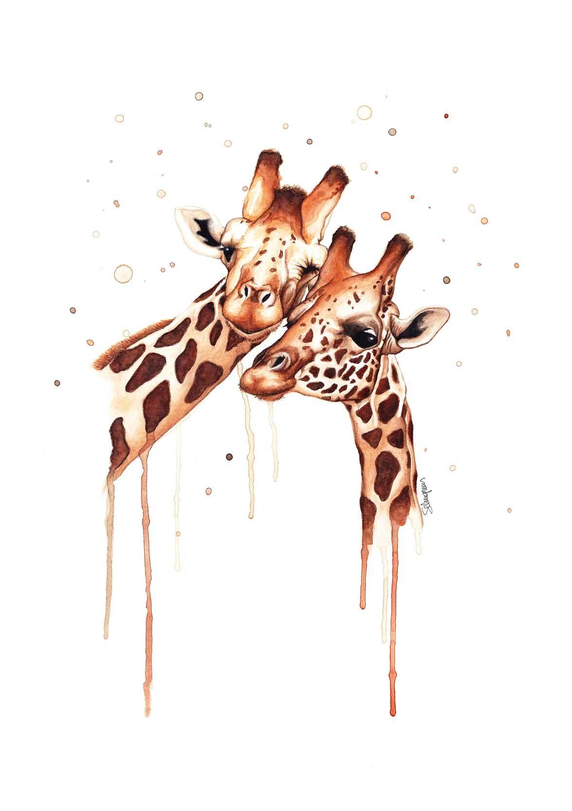 Awesome Giraffe Wallpapers - Top Free Awesome Giraffe Backgrounds