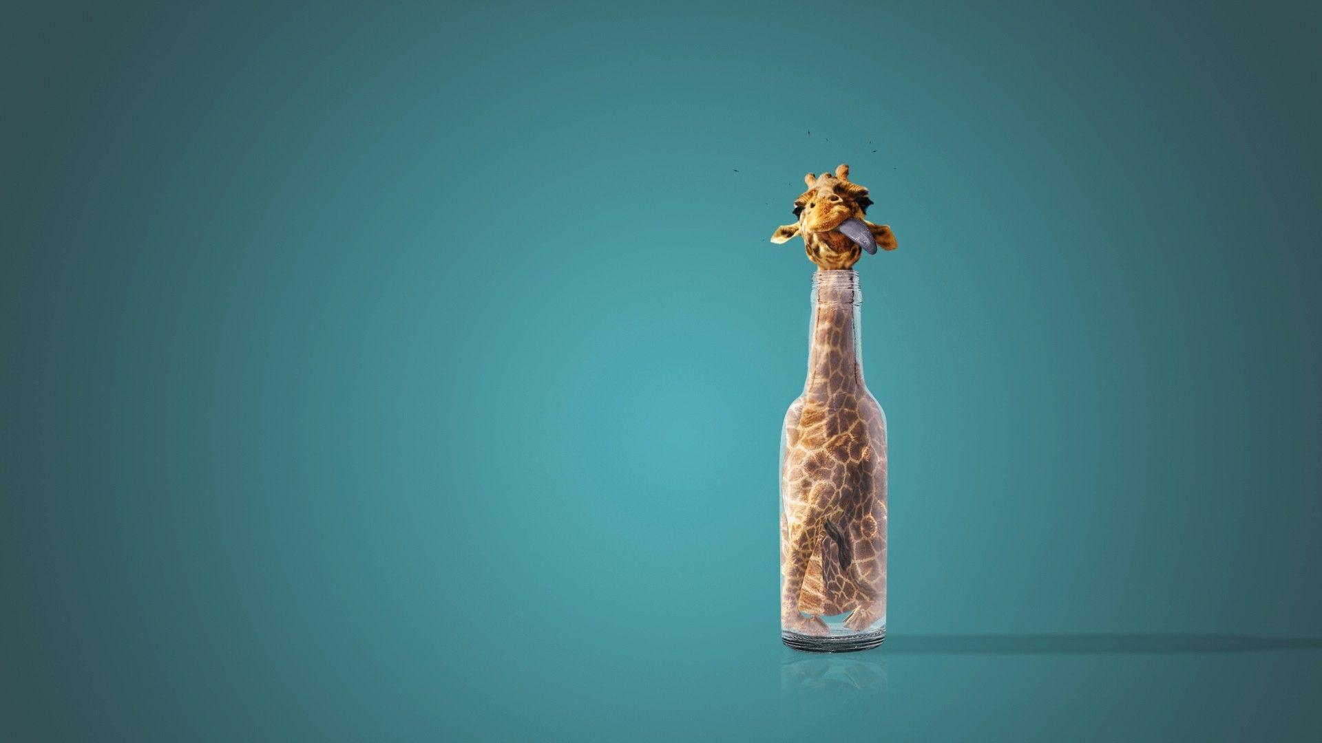 1920x1080 Funny Giraffe Wallpaper