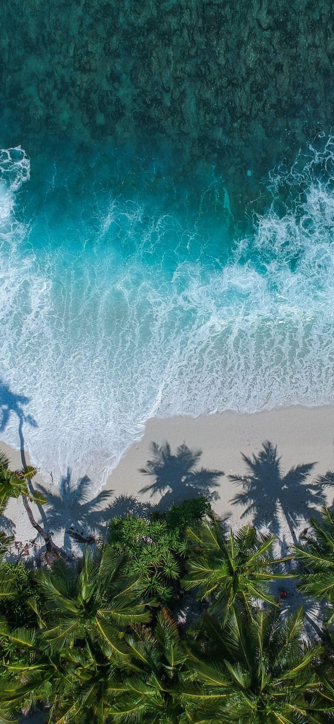 1125x2436 Download 1125x2436 wallpaper beautiful beach, aerial view, palm trees, sea, iphone x 1125x2436 HD image, background, 17336