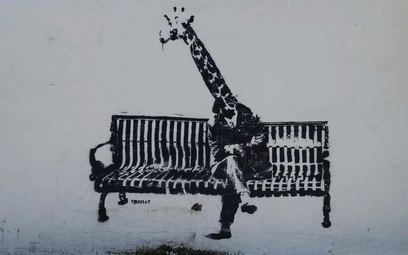 1680x1050 Banksy Giraffe Wallpaper & Background Download