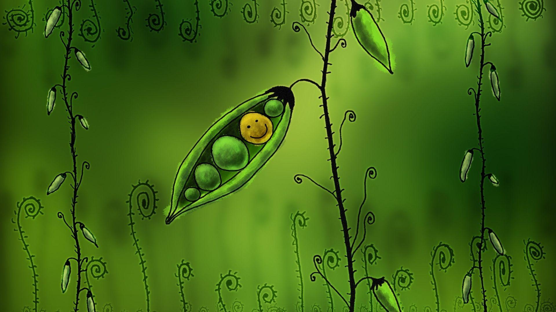 1920x1080 Recycling Wallpaper