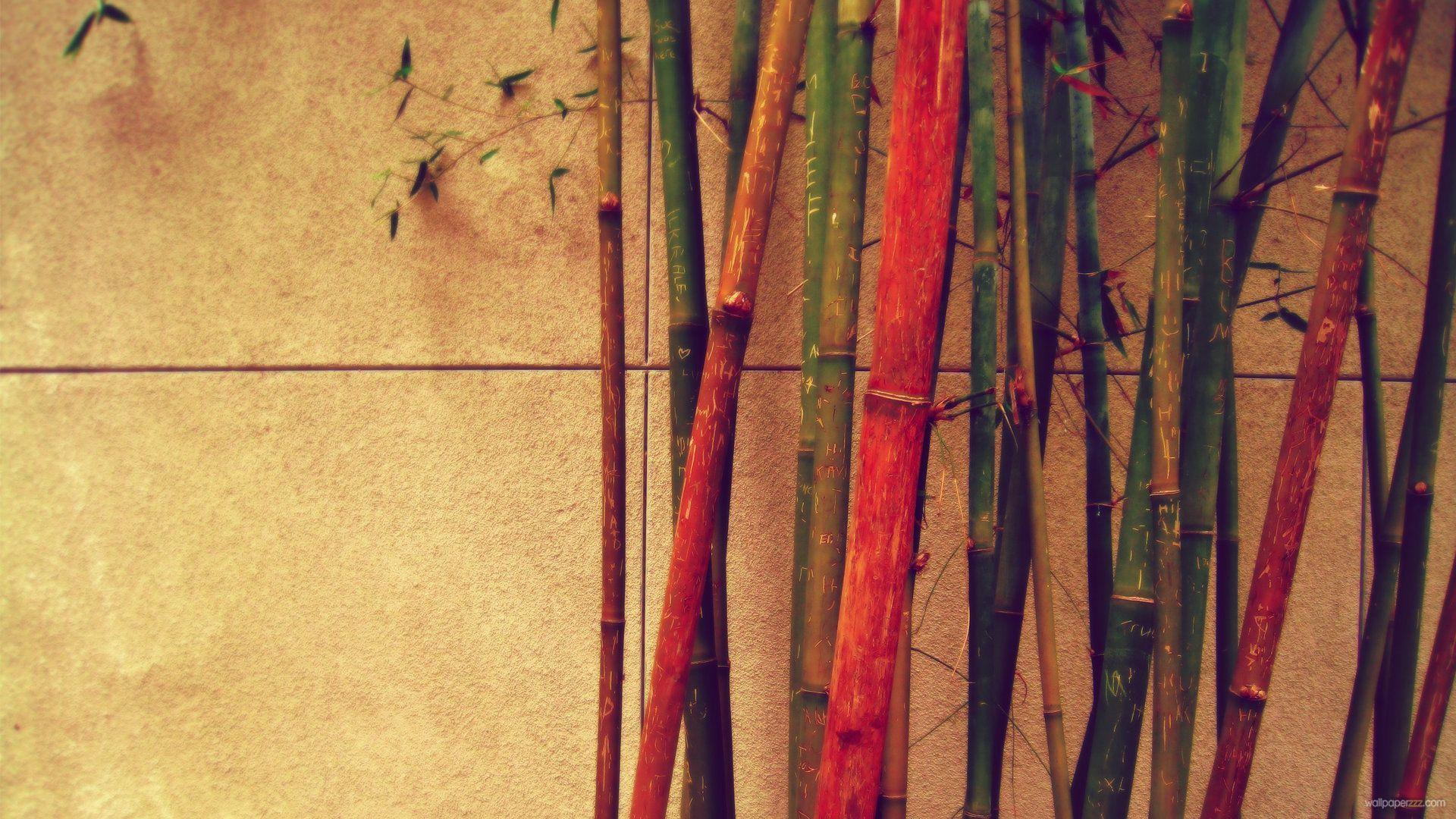 1920x1080 hipster wallpaper my room. Bamboo wallpaper