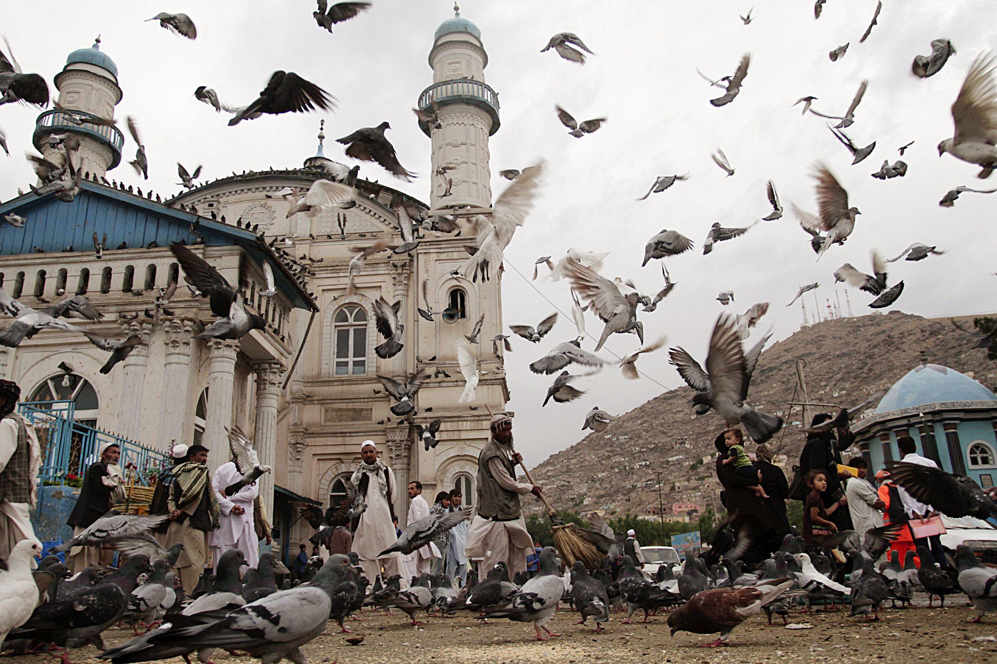 2048x1365 shah do shamshira mosque in kabul afghanistan picture, shah do shamshira mosque in kabul afghanistan photo, shah do shamshira mosque in kabul afghanistan wallpaper