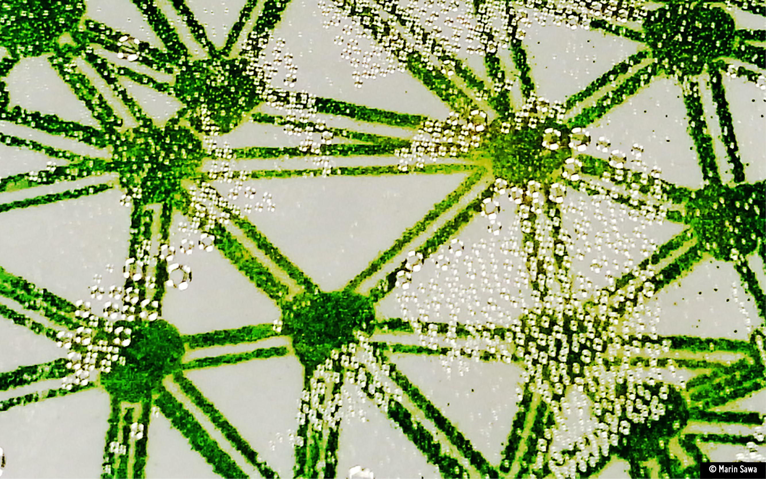 2667x1667 Printable biofilter wallpaper