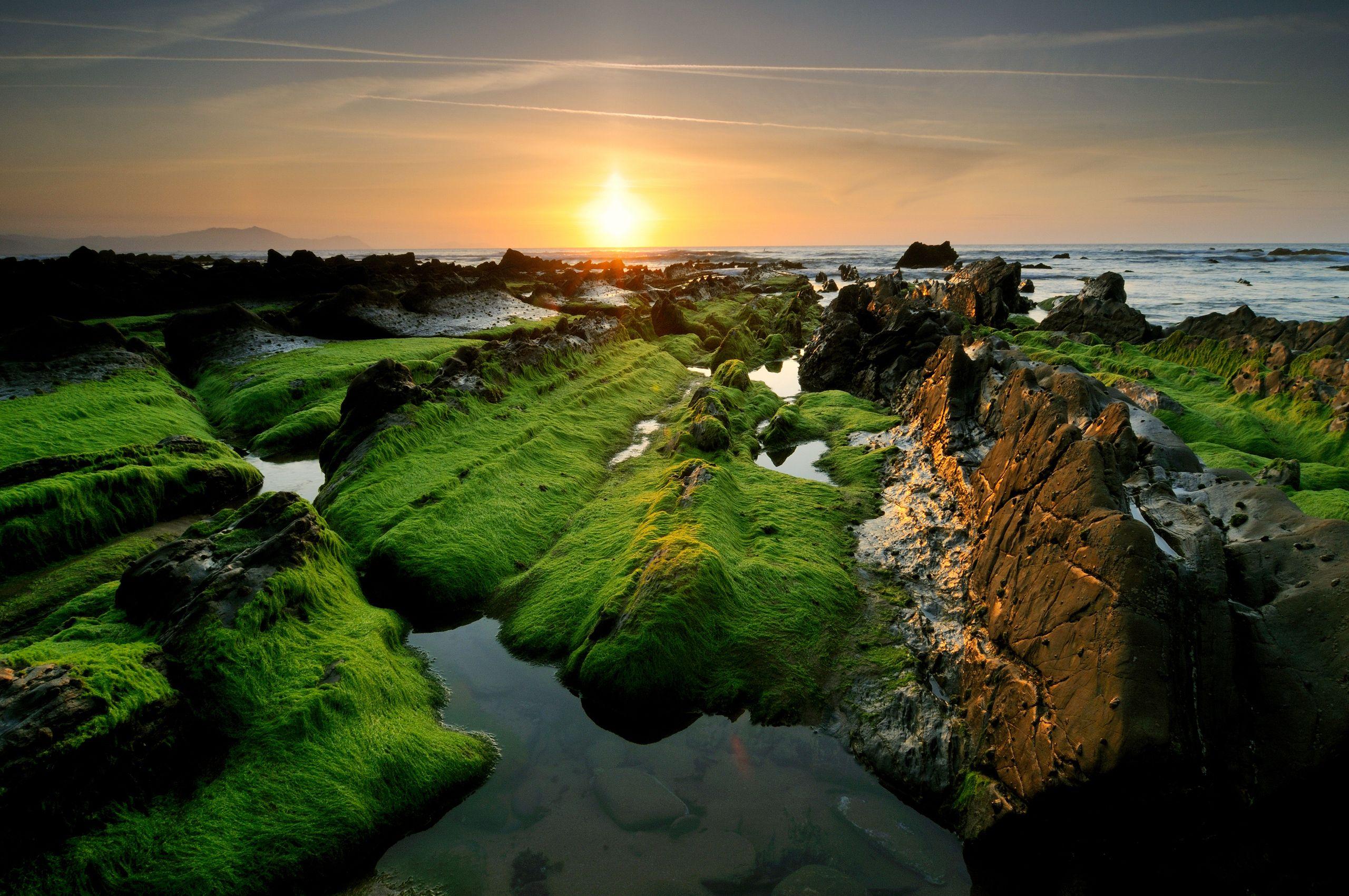 2560x1700 Green Algae, Sunset, Rocks, Nature .