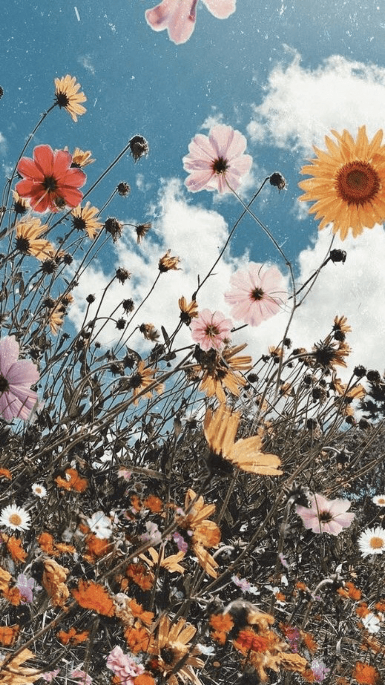 Aesthetic Garden Wallpapers - Top Free Aesthetic Garden Backgrounds ...