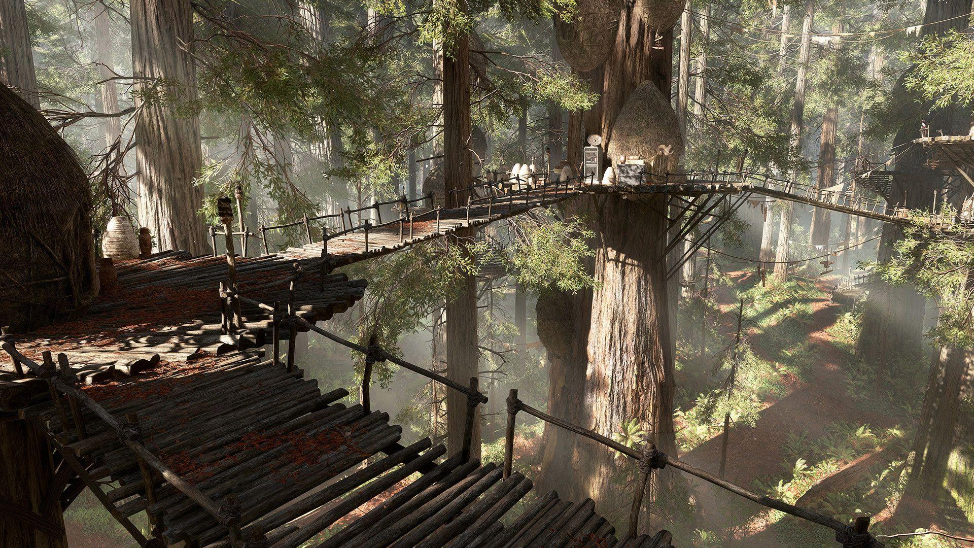 Endor Wallpapers - Top Free Endor Backgrounds - WallpaperAccess