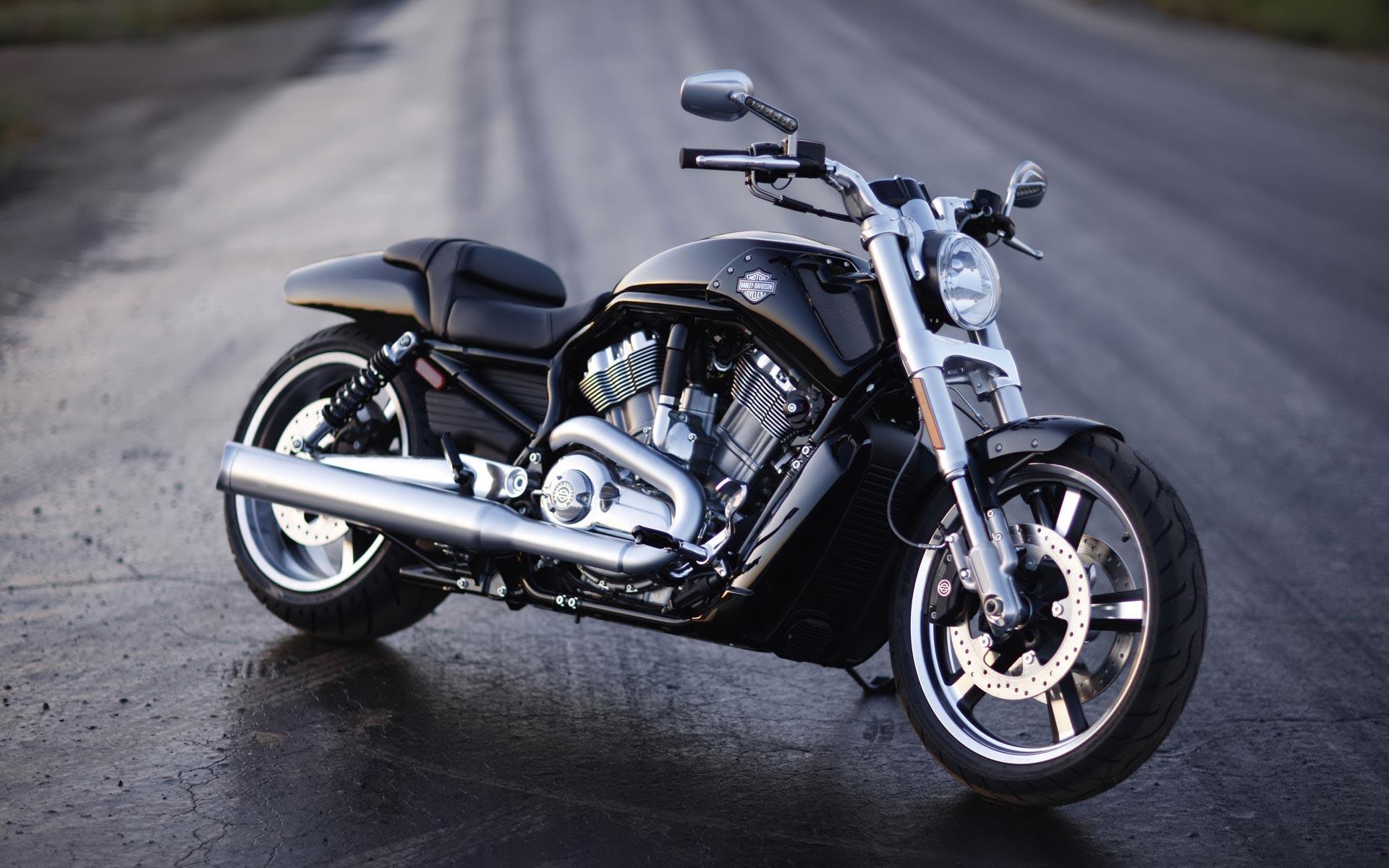 Harley-Davidson HD Wallpapers - Top Free Harley-Davidson HD Backgrounds -  WallpaperAccess