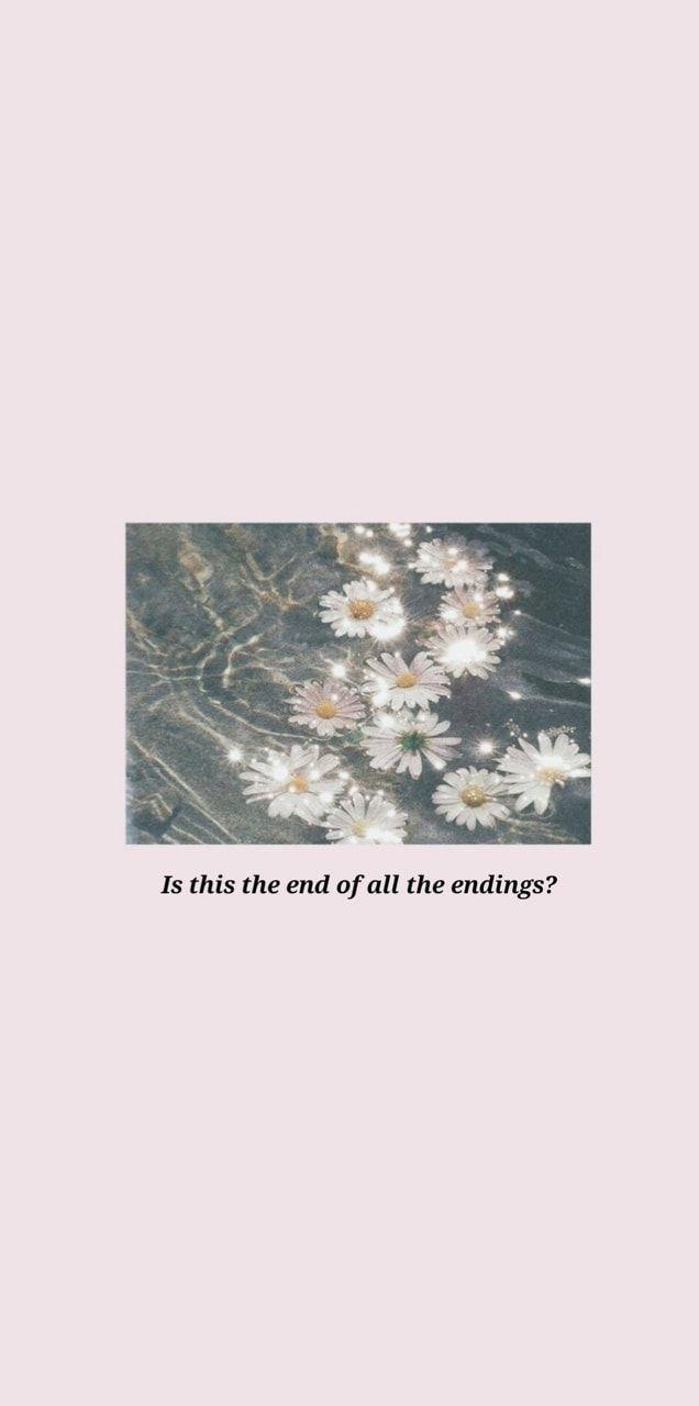 636x1280 flowers, taylor swift wallpaper, aesthetic and reputation album