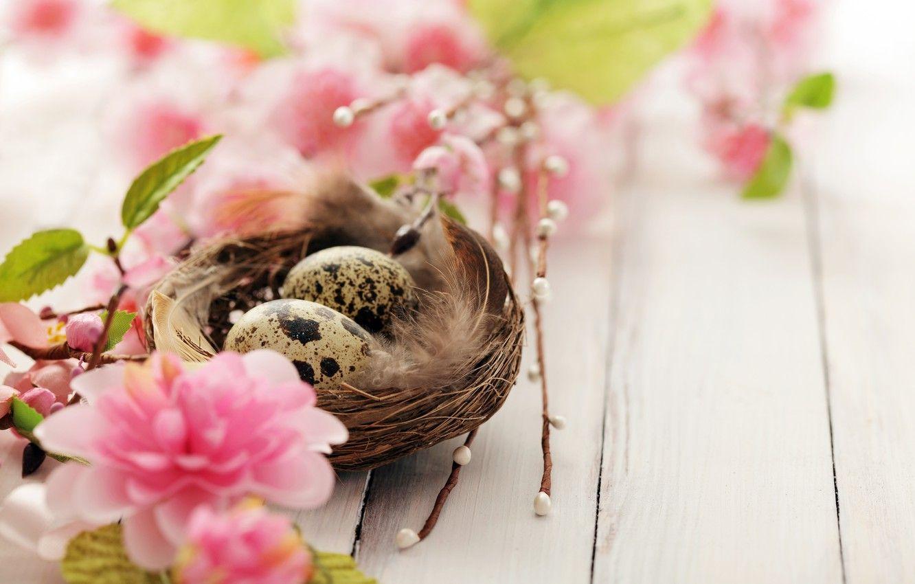 1332x850 Wallpaper flowers, branches, holiday, eggs, spring, Easter, socket, flowering, quail image for desktop, section праздники
