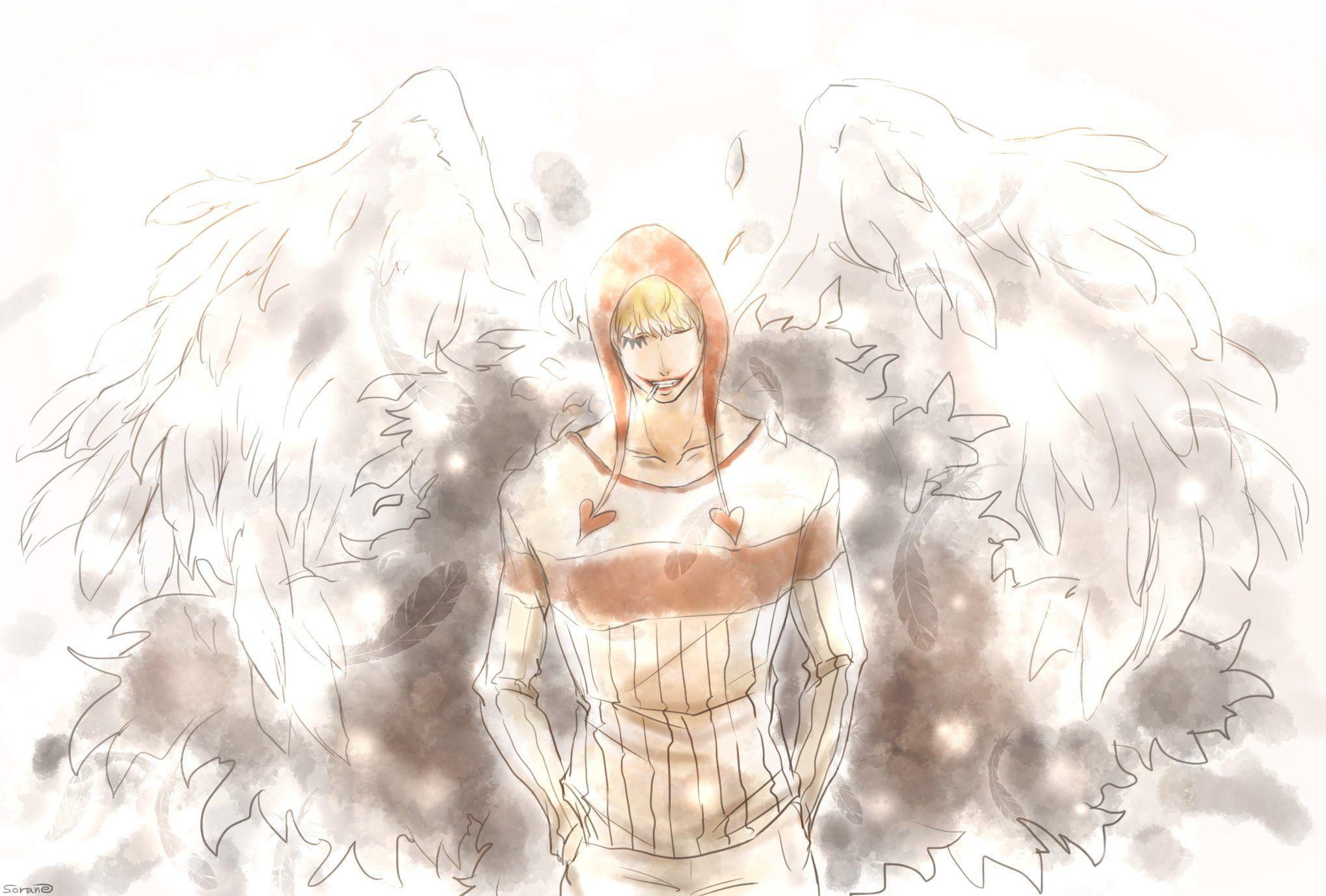 2039x1378 One Piece Corazon Light Background Feather Feather Wallpaper One Piece HD Wallpaper