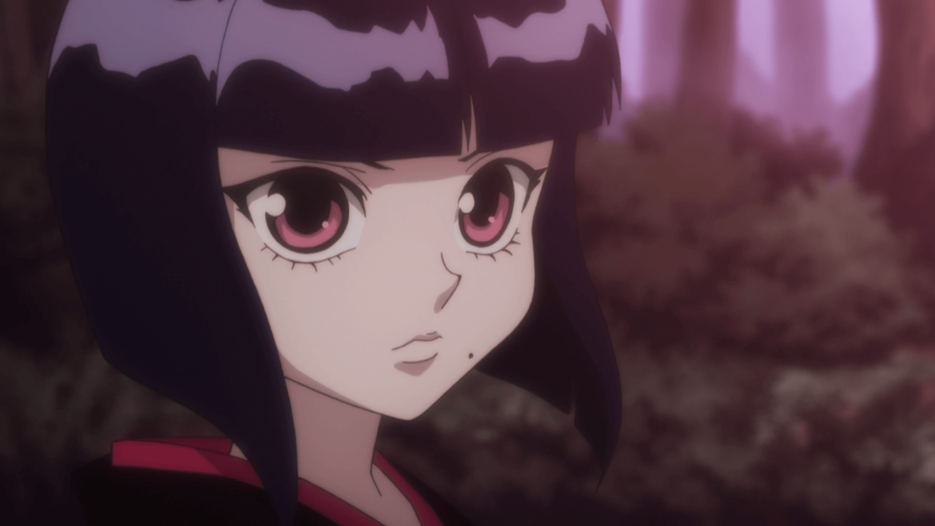 1920x1080 HxH Detours: The Hunter's Exam & Zoldyck Family Character Introduction.