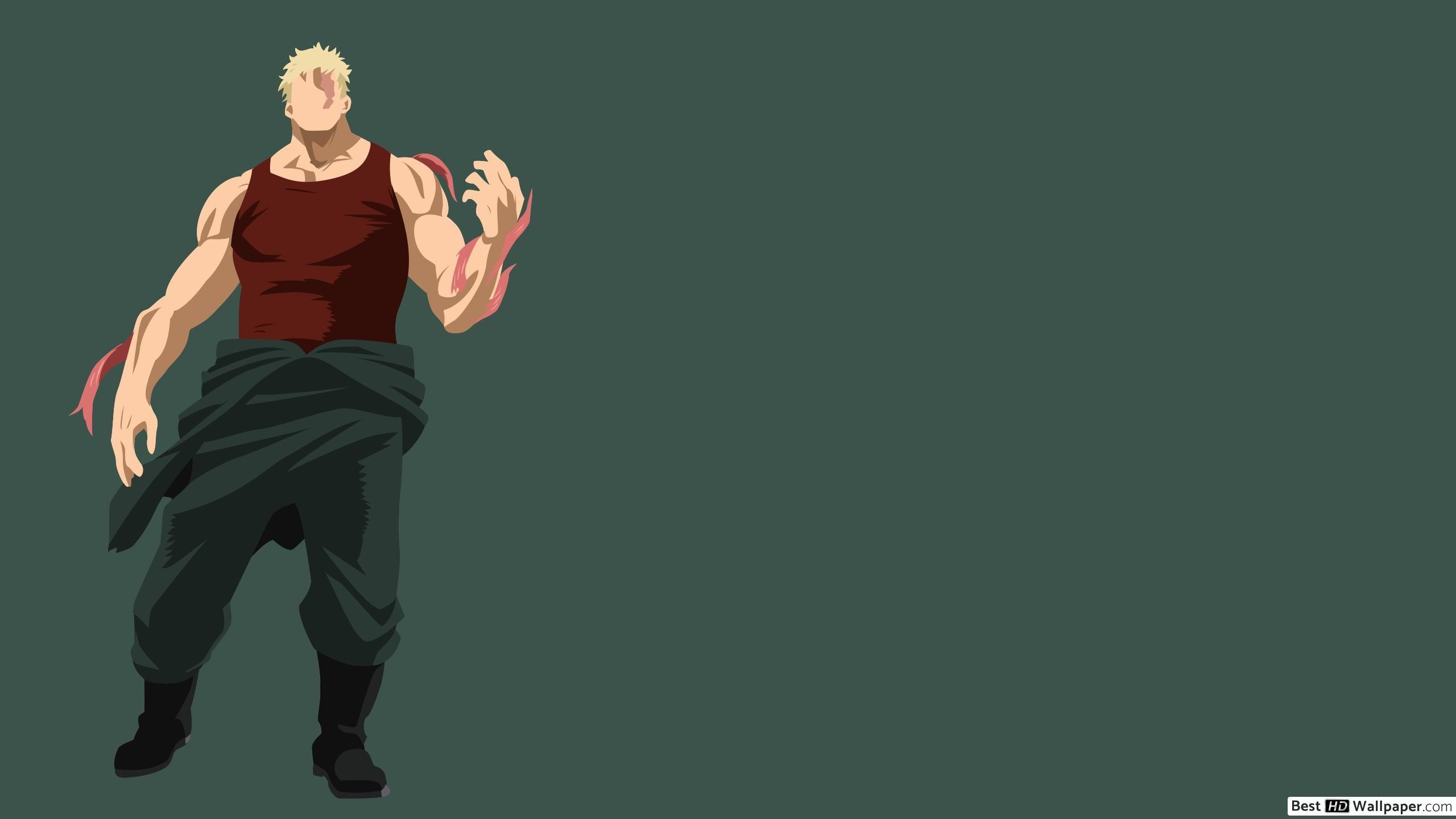 2560x1440 My Hero Academia (Minimalist) HD wallpaper download