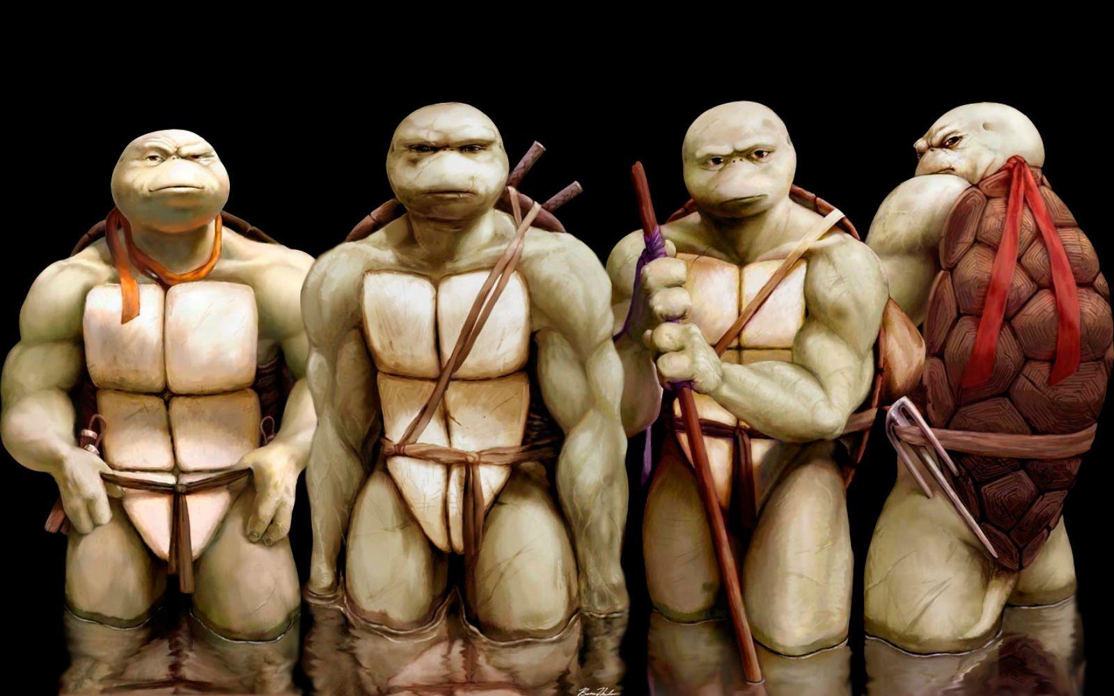 1600x1000 Central Wallpaper: Teenage Mutant Ninja Turtles HD Wallpaper